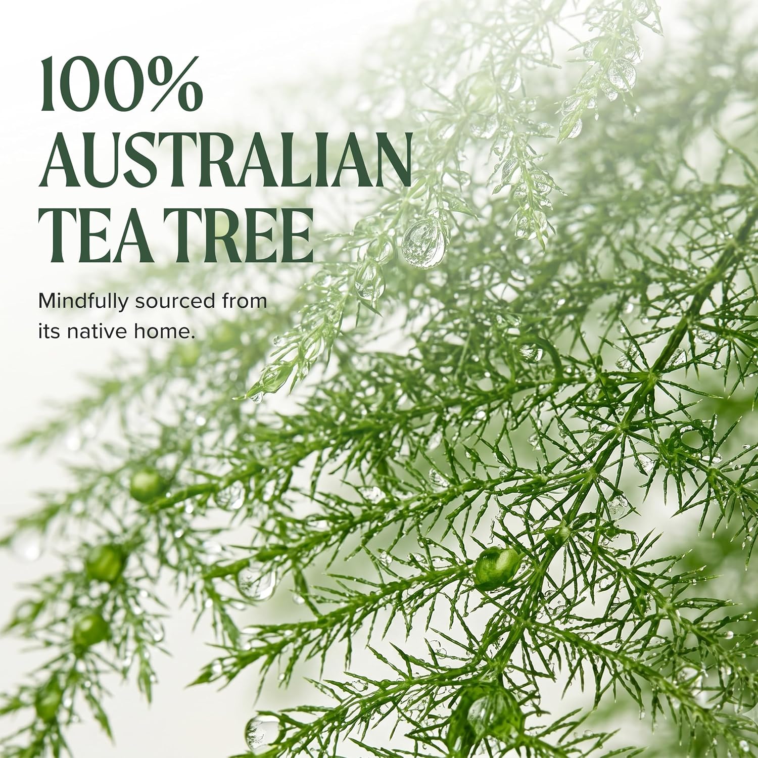Tea Tree Hair and Body Moisturizer Leave-In Conditioner, Body Lotion, After-Shave Cream, For All Hair + Skin Types
