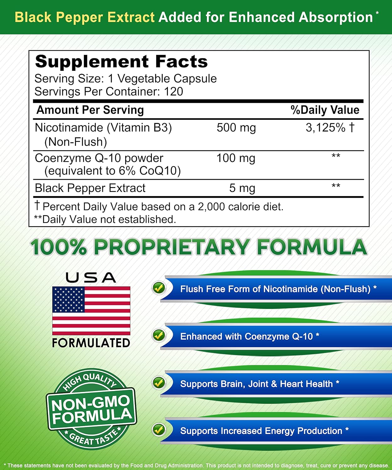 Nicotinamide with CoQ10 (120 Capsules) - Vitamin B3 500mg (Niacinamide Flush Free) - Coenzyme Q10 Powder - VIT B-3 & Coq 10 Supplement Pills to