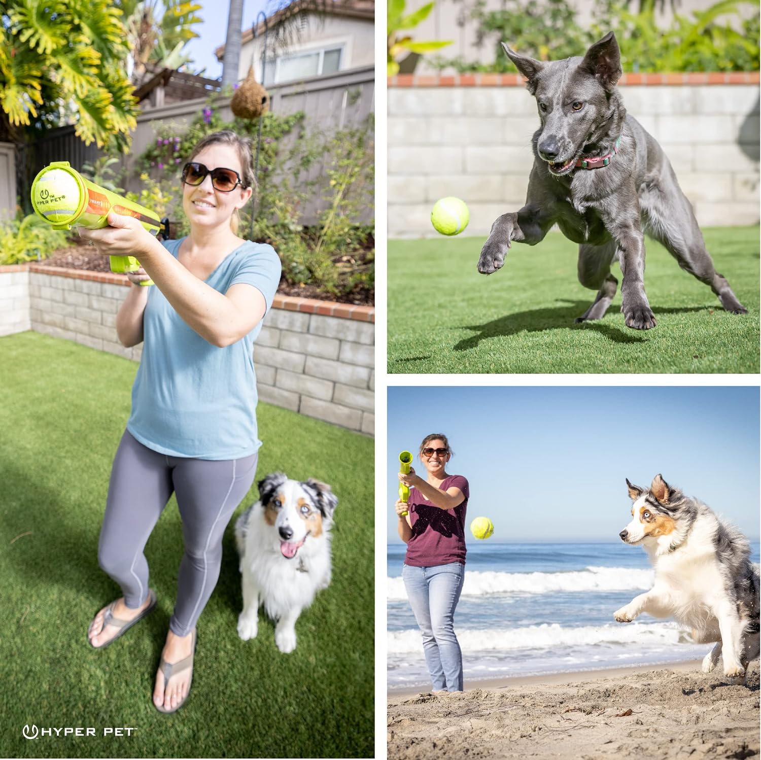 Hyper Pet GoDogGo Fetch Machine Dog Ball Launcher & Automatic Ball Launcher for Dogs With Five 2.5" Balls for Dogs 20-60 Pounds