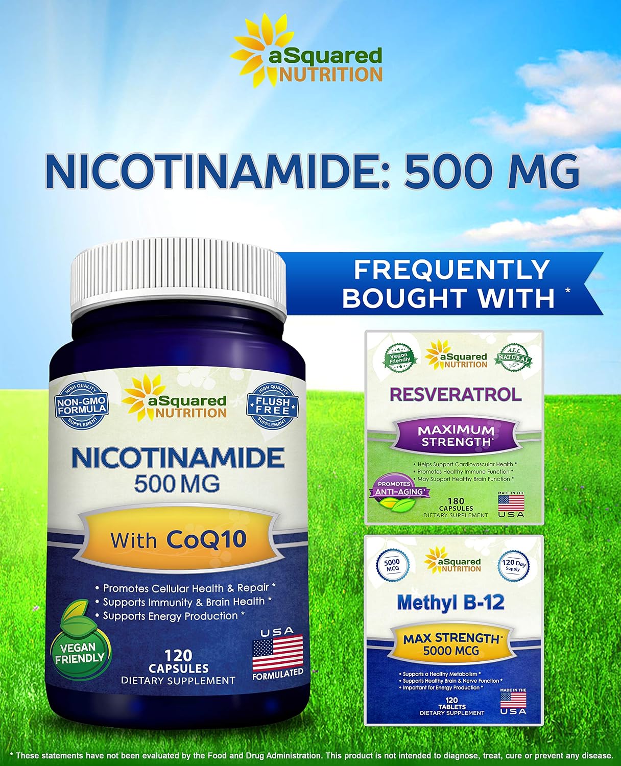 Nicotinamide with CoQ10 (120 Capsules) - Vitamin B3 500mg (Niacinamide Flush Free) - Coenzyme Q10 Powder - VIT B-3 & Coq 10 Supplement Pills to