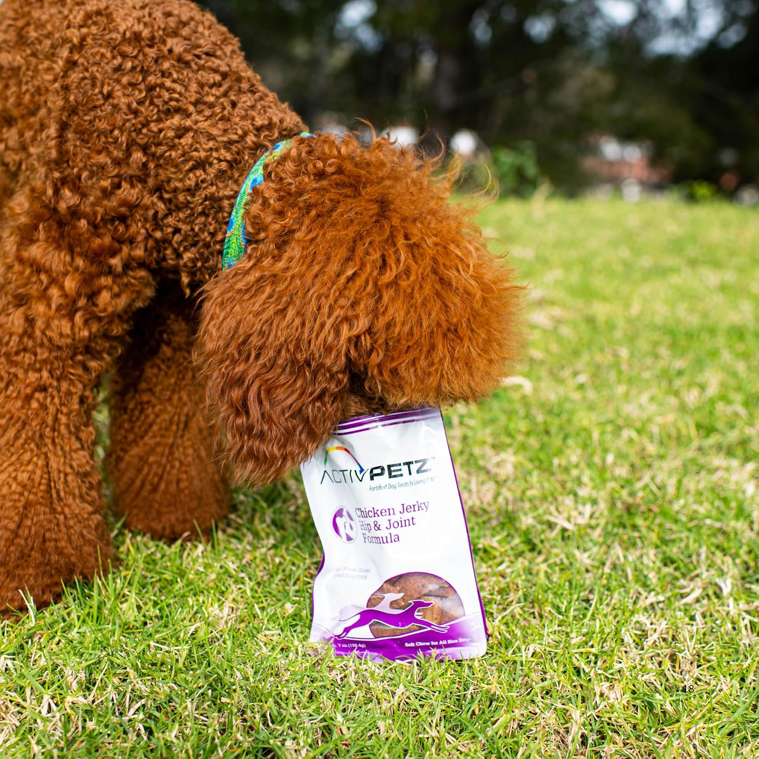 Loving Pets Activpetz Beef Jerky Hip & Joint Formula Dog Treat, 7 Oz