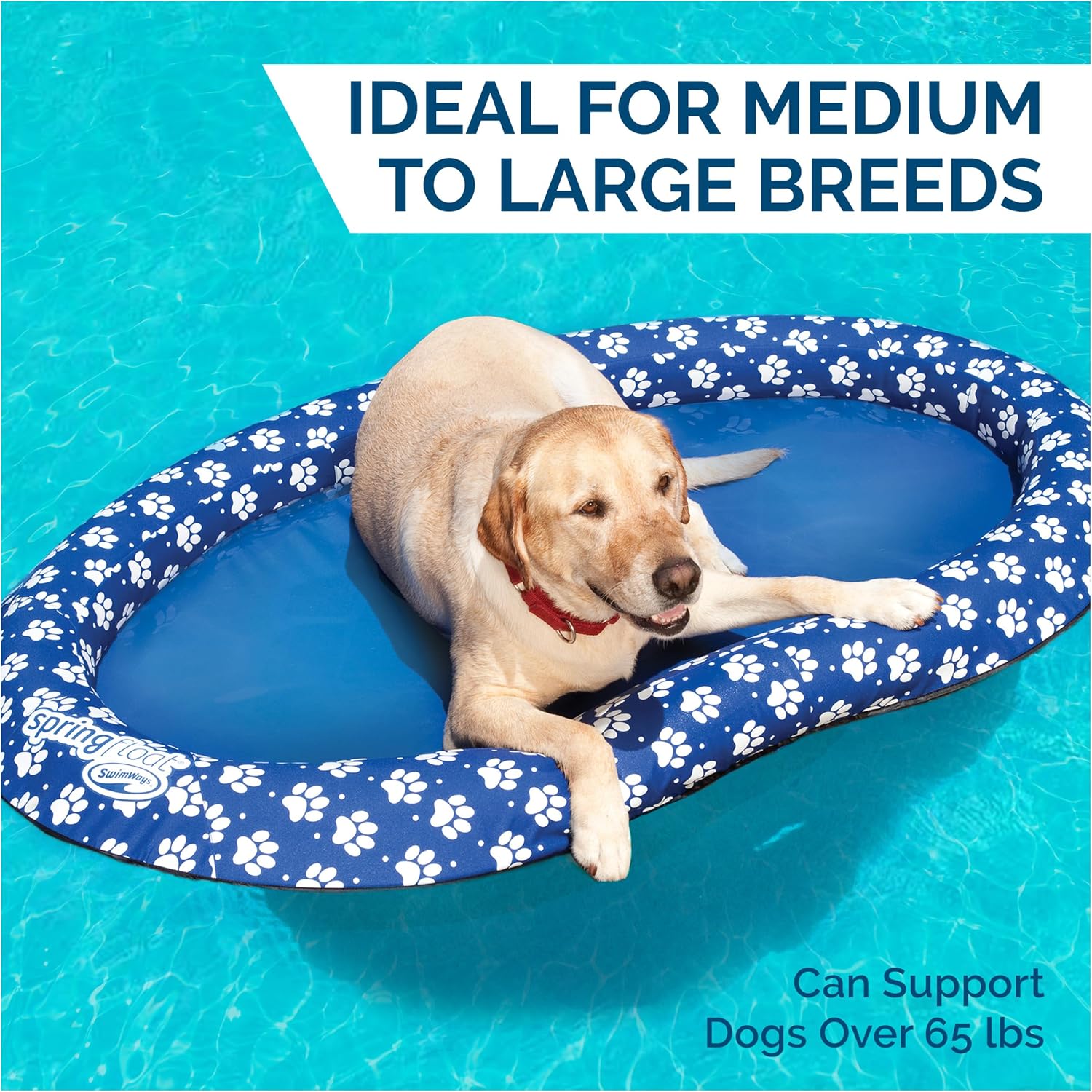 SwimWays Paddle Paws Spring Float Dog Raft, Small (0-65 lbs.) | Fast Inflation for Fast Use During Travel, Durable Scratch-Resistant Design for Use with Dogs, Includes Carrying Case