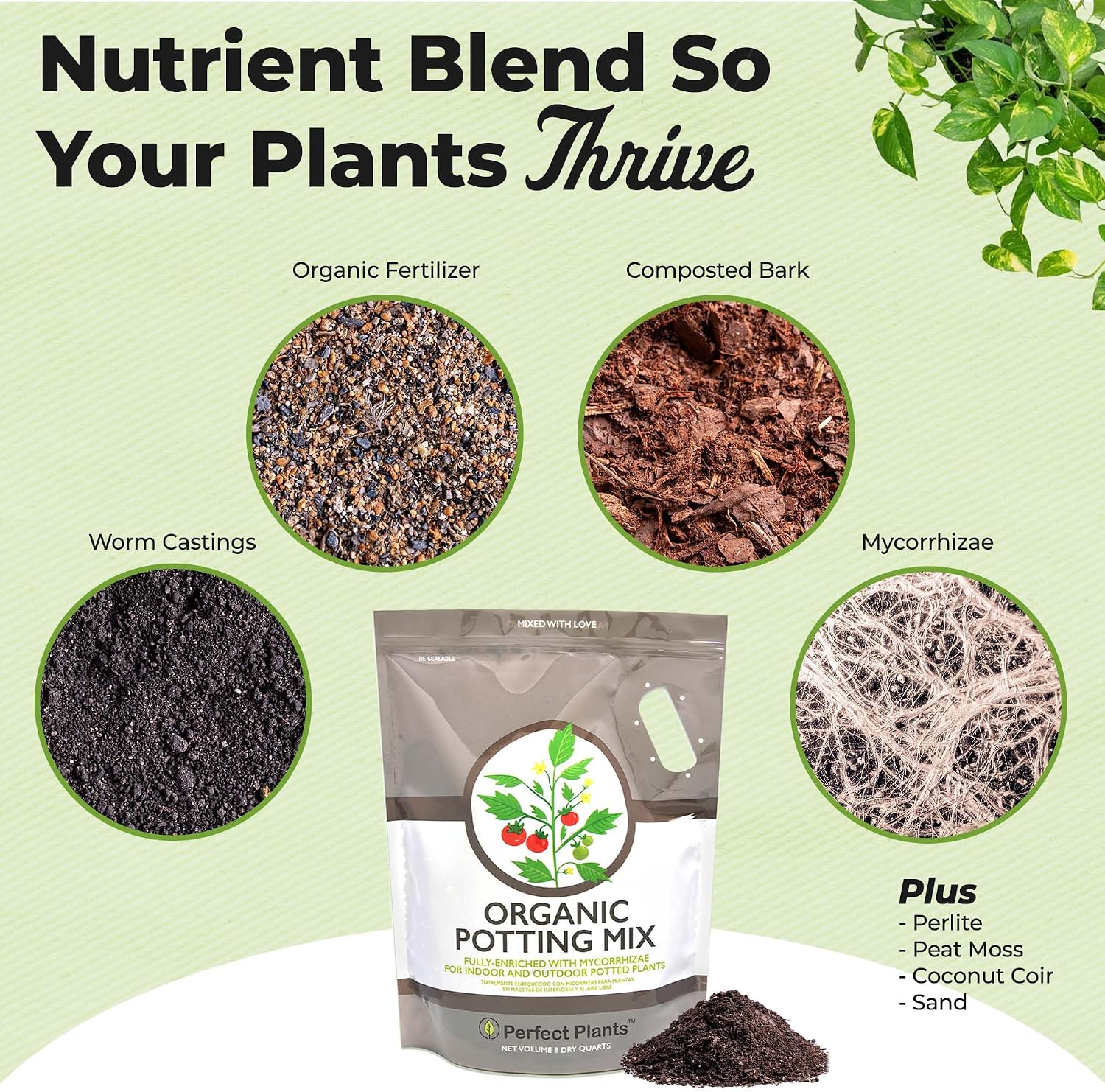 Perfect Plants Organic Potting Soil, 8 qt, Indoor Outdoor Mix for Veggies | Coconut coir, peat and perlite with mycorrhizae and worm castings