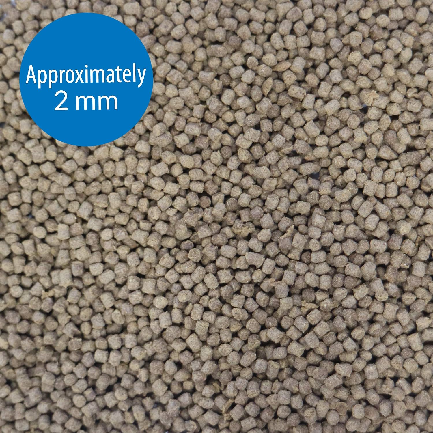 API BOTTOM FEEDER PELLETS WITH SQUID Fish Food 1.3-Ounce Container