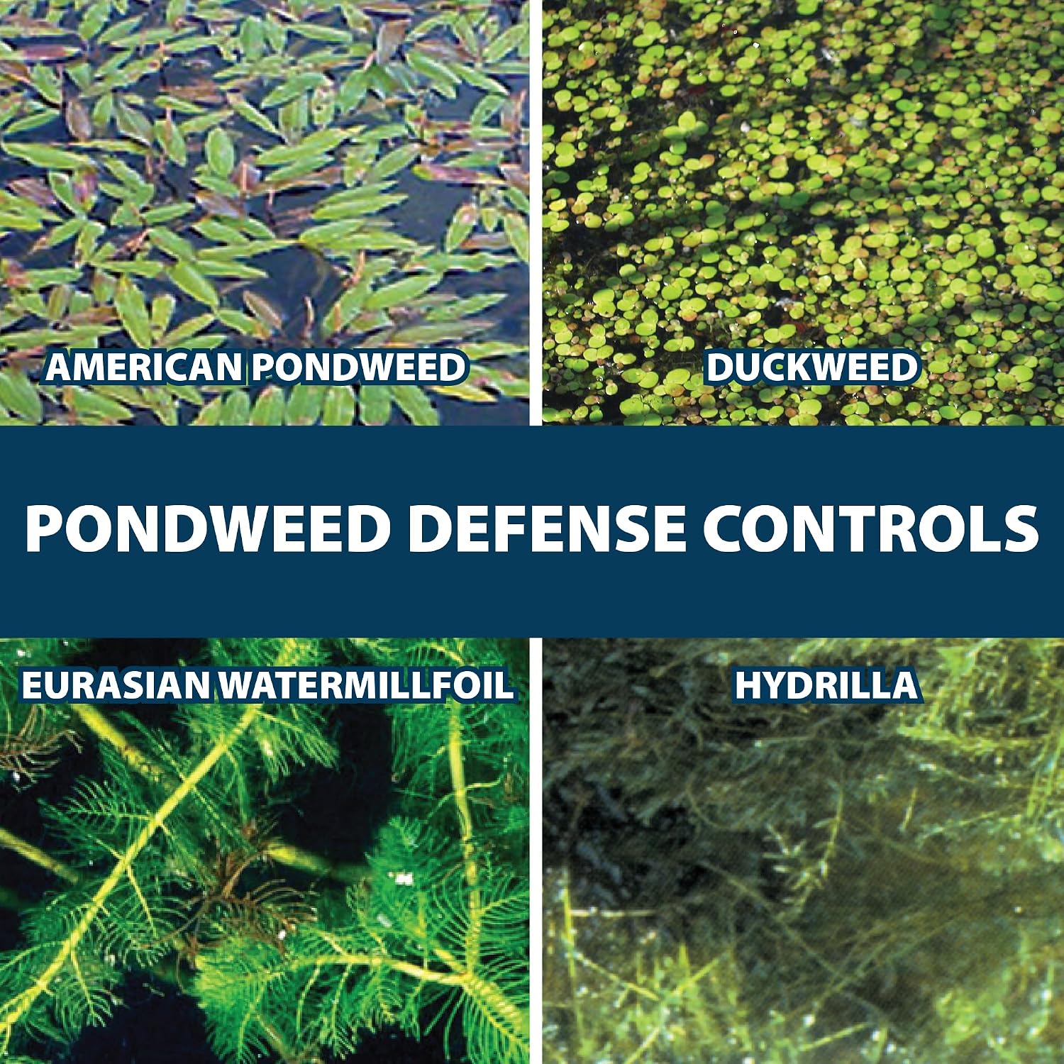 Airmax Ultra Pondweed Defense Aquatic Weed & Plant Killer