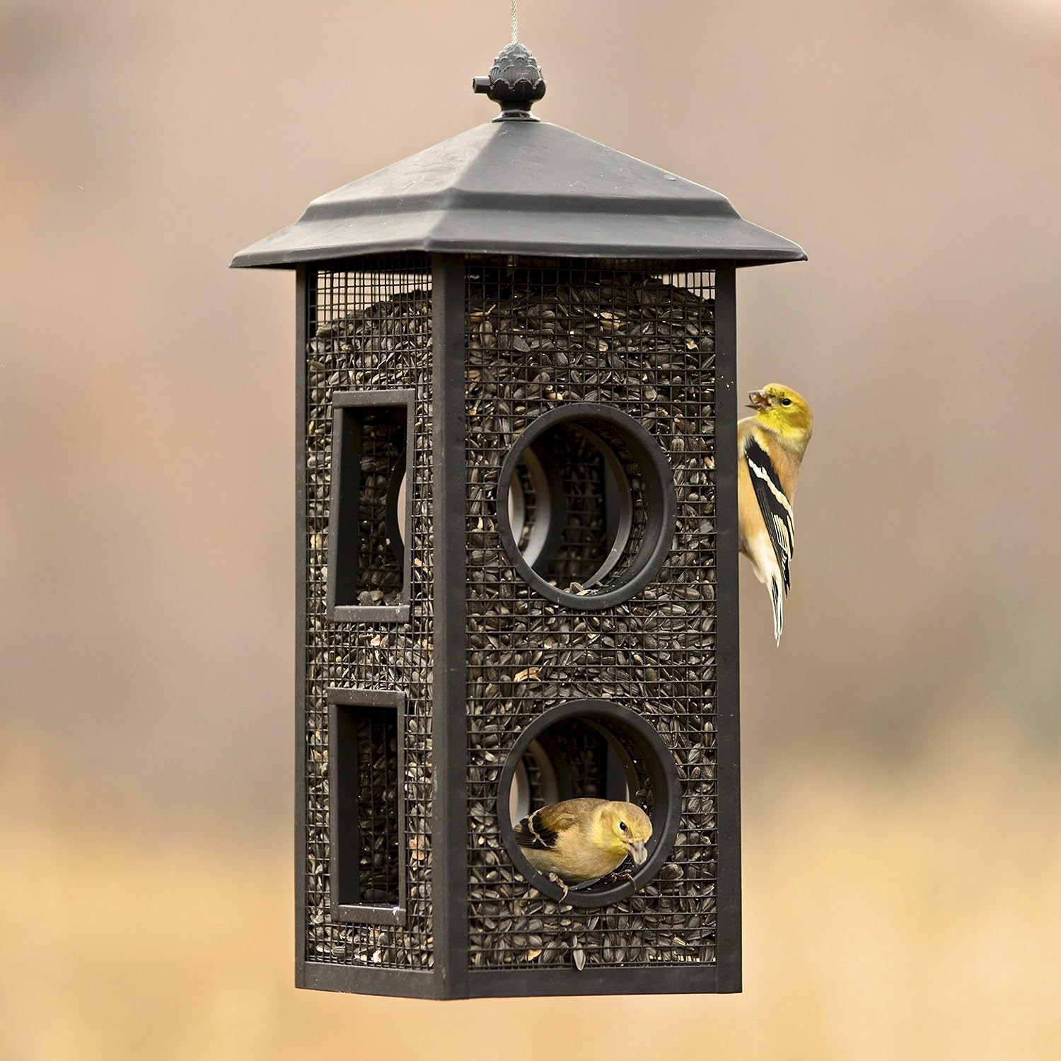 Perky-Pet Fly-Thru Wild Bird Feeder, 2 lb Seed Capacity | All-Metal Construction, Mesh Sides