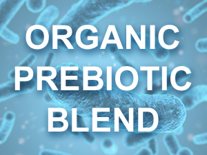 PROBIOTICS FOR MEN