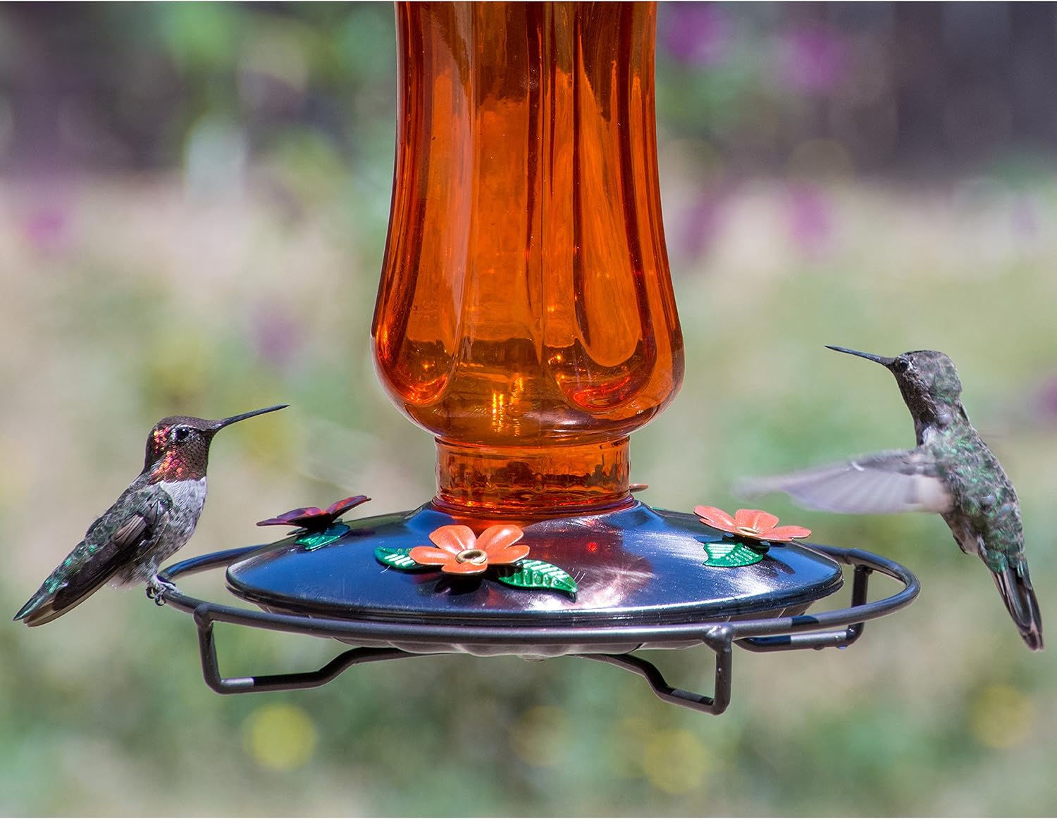 Perky-Pet PP8135 Vintage Carnival Glass Oriole Feeder
