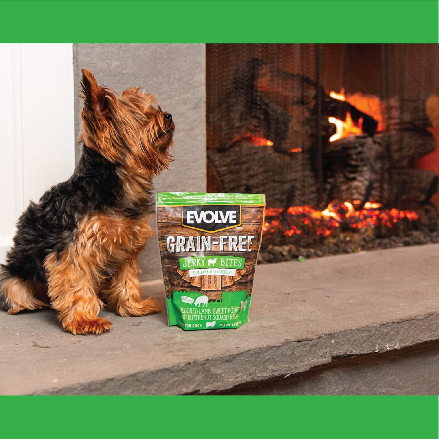 Evolve Grain Free Salmon and Sweet Potato Jerky Bites Dog Treats