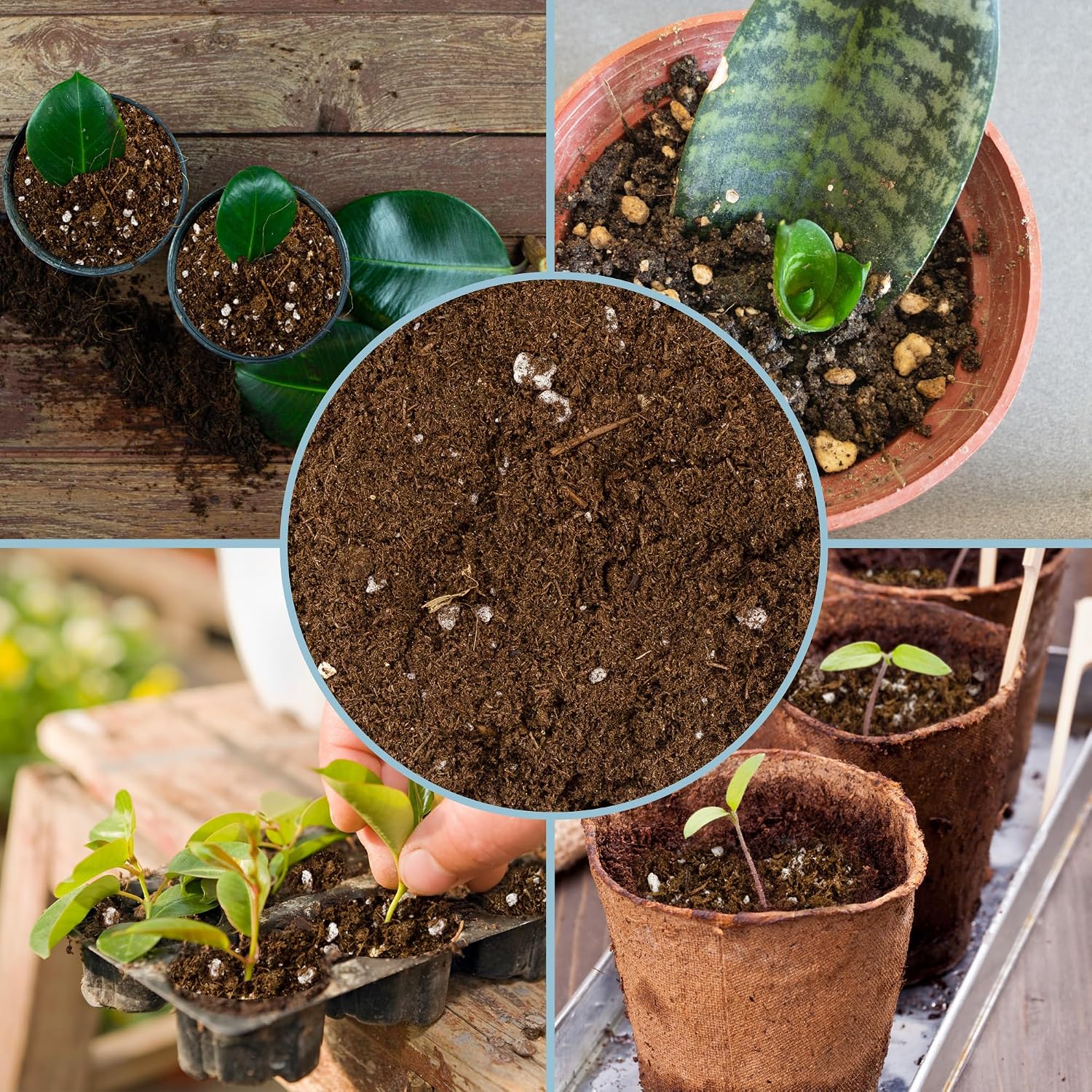 Planting Mix for Plant Propagation (4 Quarts), Hand Blended Soilless Mix for Propagating Plants, House Plants, and More