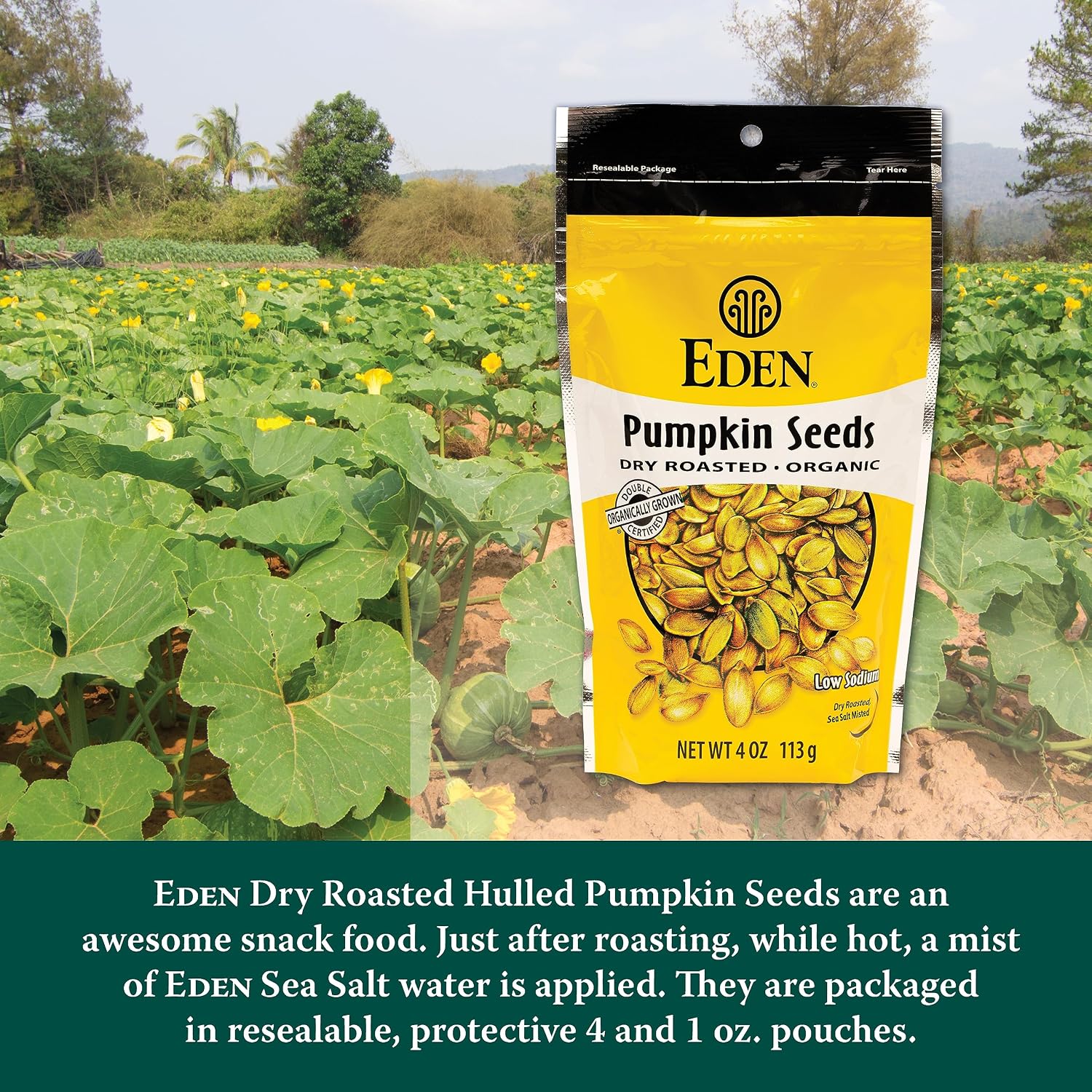 Eden Organic Pumpkin Seeds, Shelled, Dry Roasted and Lightly Sea Salted, to Eat, 4 oz (6-Pack)