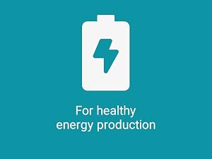 ginsana, supplements, korean, renew, focus, renewable, ginsing, mitochondria