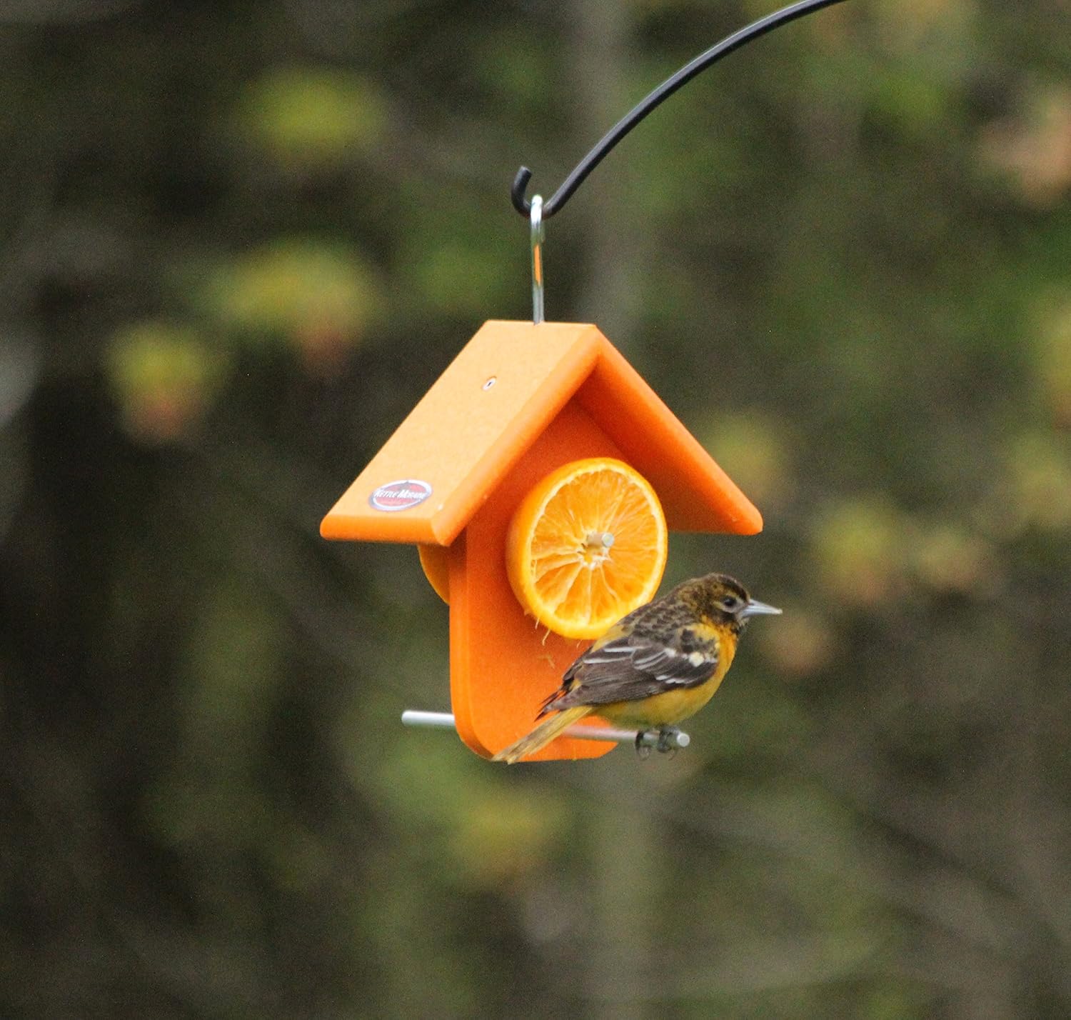 Recycled Single Oriole Orange Fruit Feeder