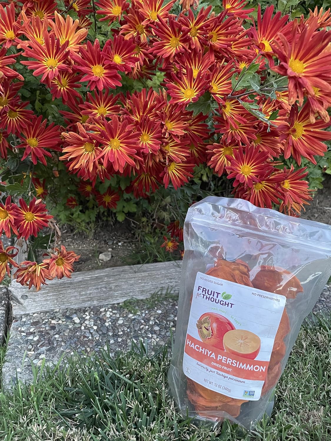 Fruit for Thought Dried Persimmons, No Sugar Added, 12 oz, Pack of 2