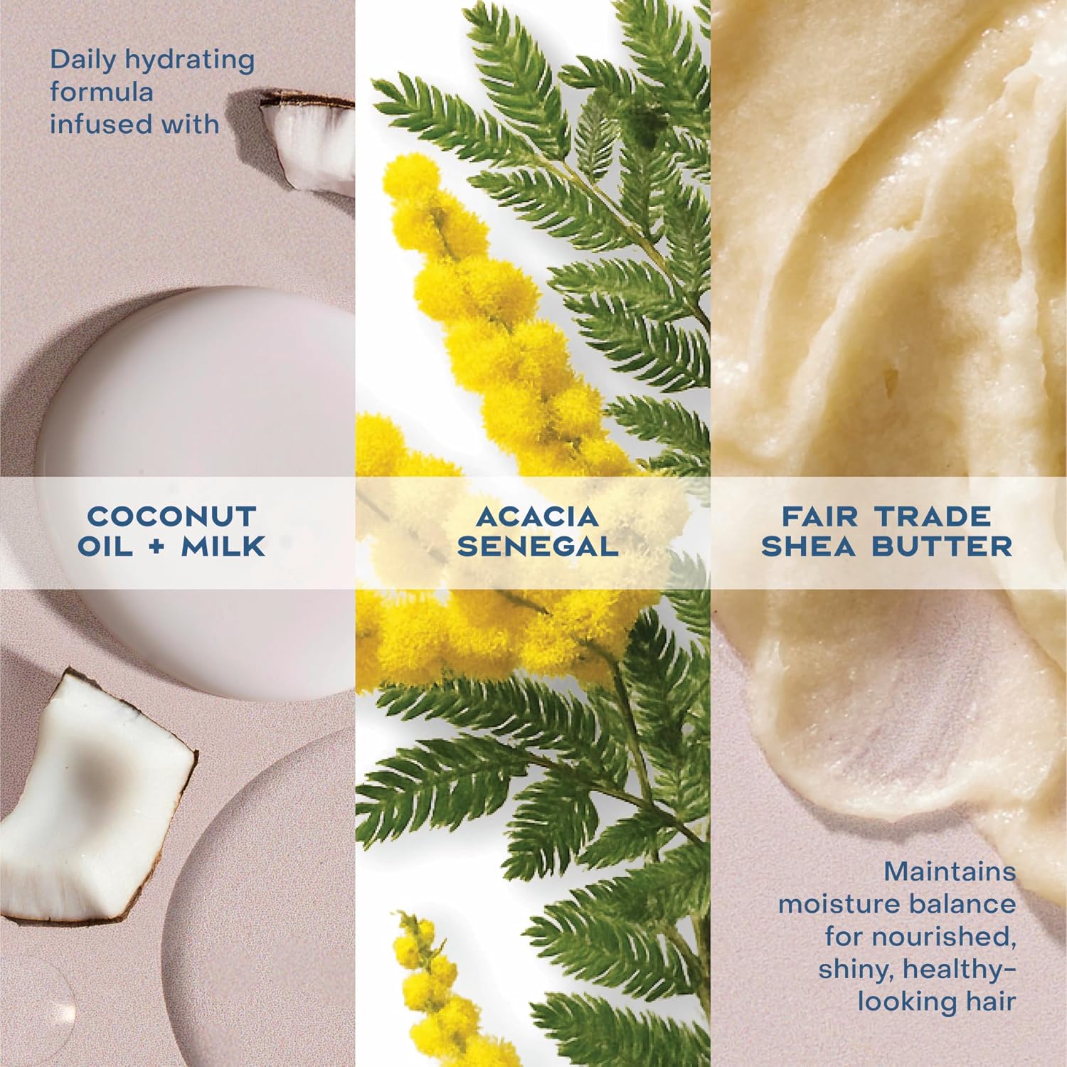 Shea Moisture Daily Hydration Shampoo Virgin Coconut Oil for All Hair Types Sulfate-Free 13 oz