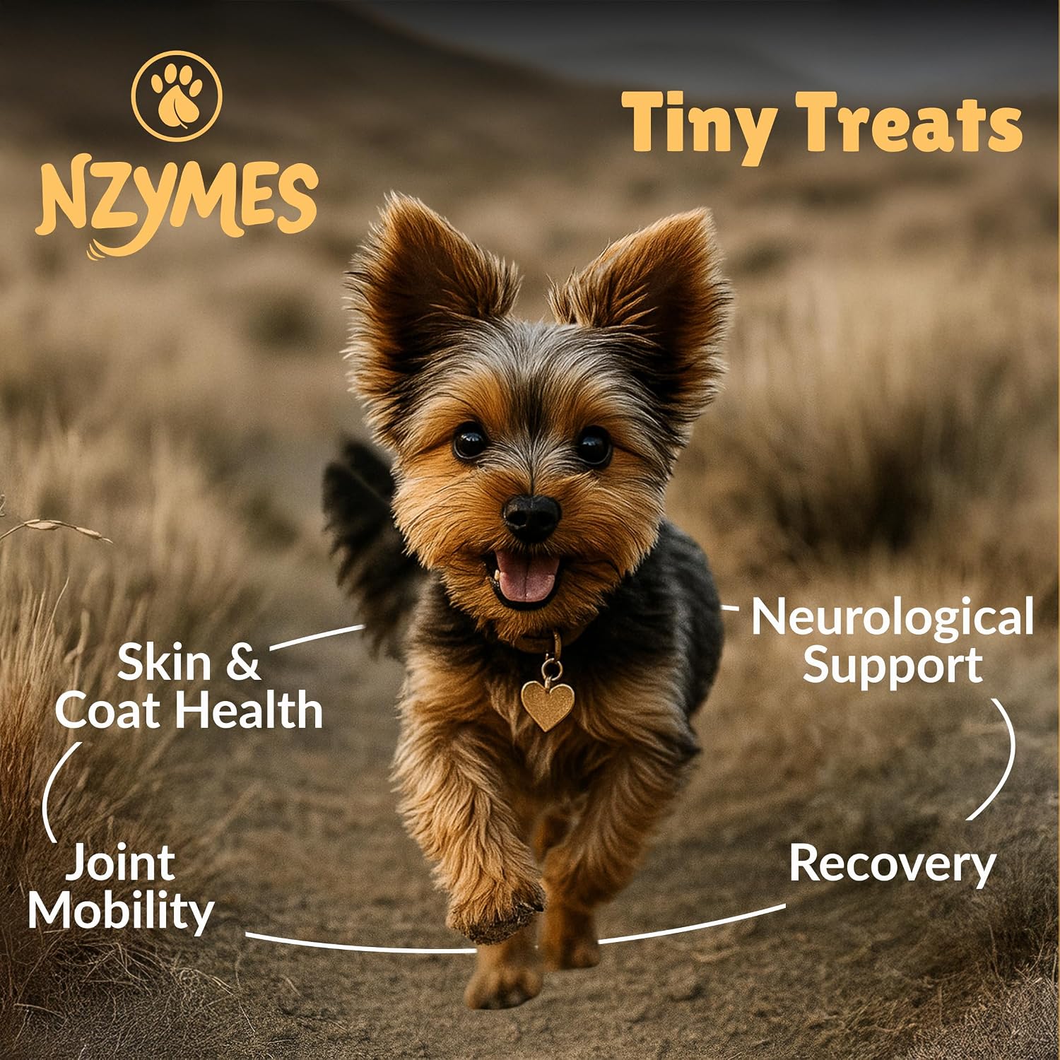 Antioxidant Treats - for Dogs Joints, HIPS, Paralysis, Skin, Coat, Hair Loss, Aging, Digestion, Neurological, Seizures - 60 Treats - Made in The USA