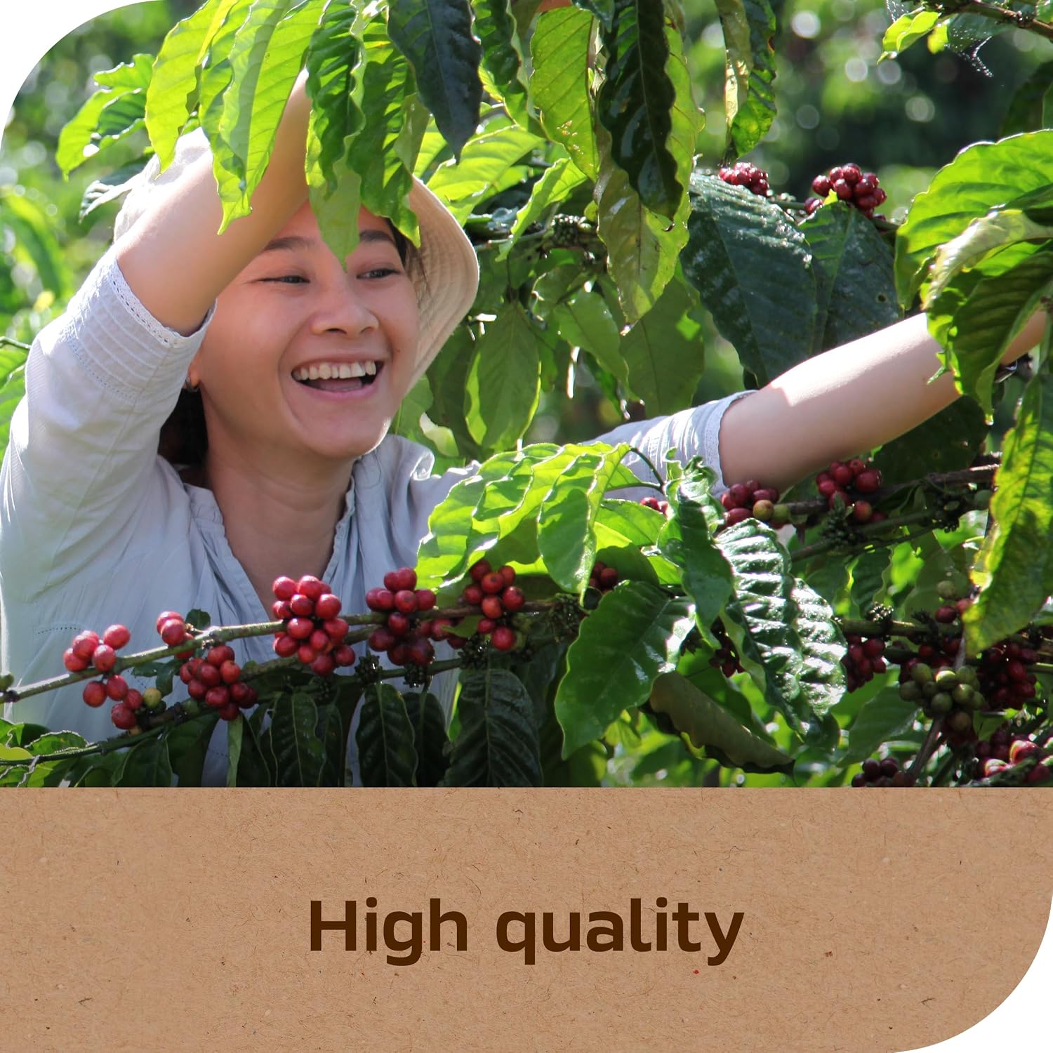 NESCAFÉ Taster's Choice, Instant Coffee Packets, Light Medium Roast Coffee, House Blend