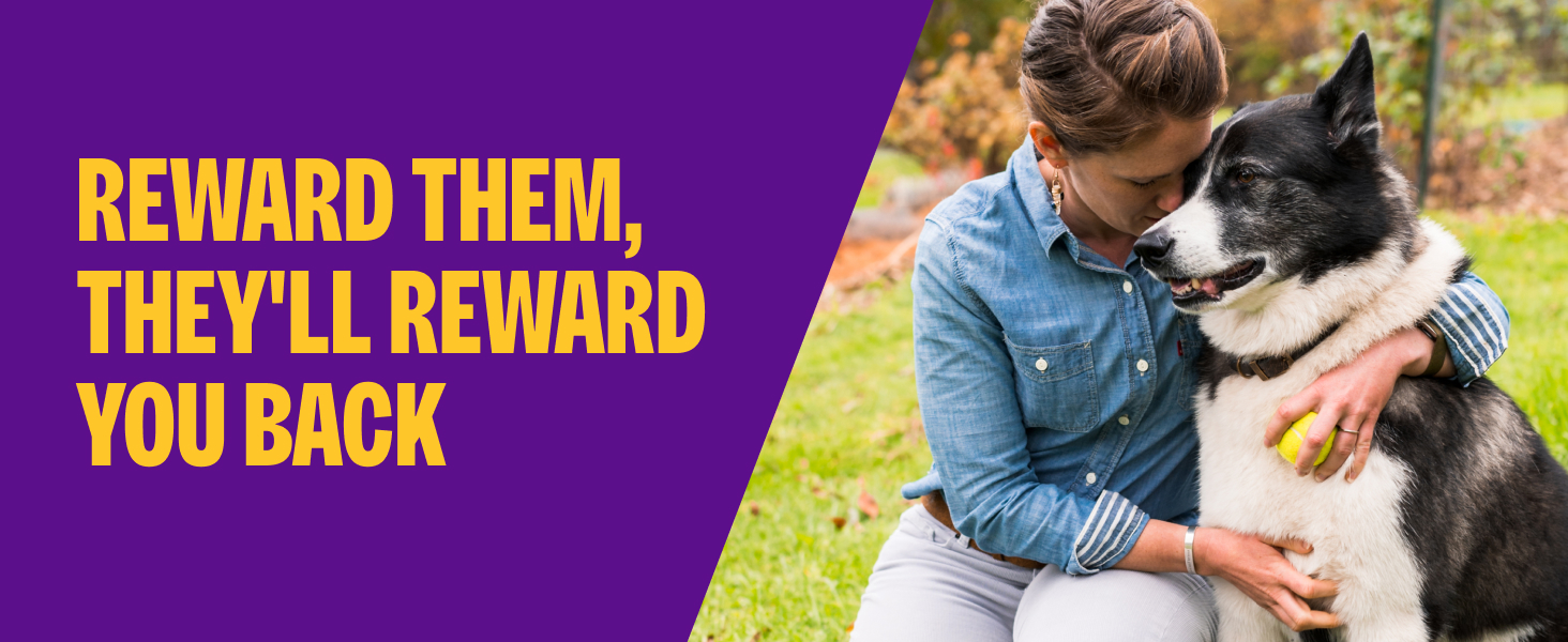Reward Them, They&amp;#39;ll Reward You Back