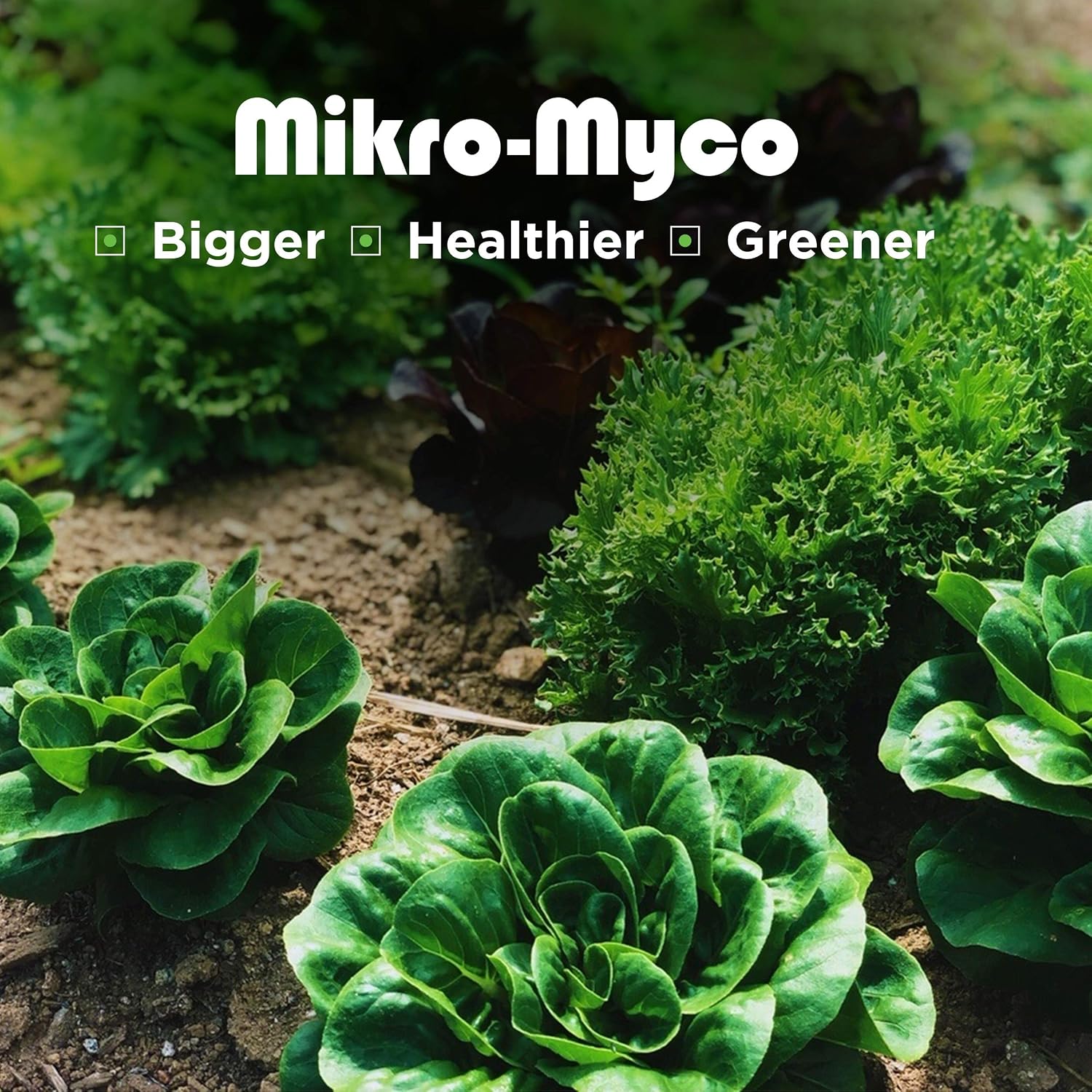 Mikro-Myco, Highly Concentrated Mycorrhizal Fungi –11 Endo/Ecto Mycorrhizae, Water Soluble Powder for Exponential Root Growth (4 oz)