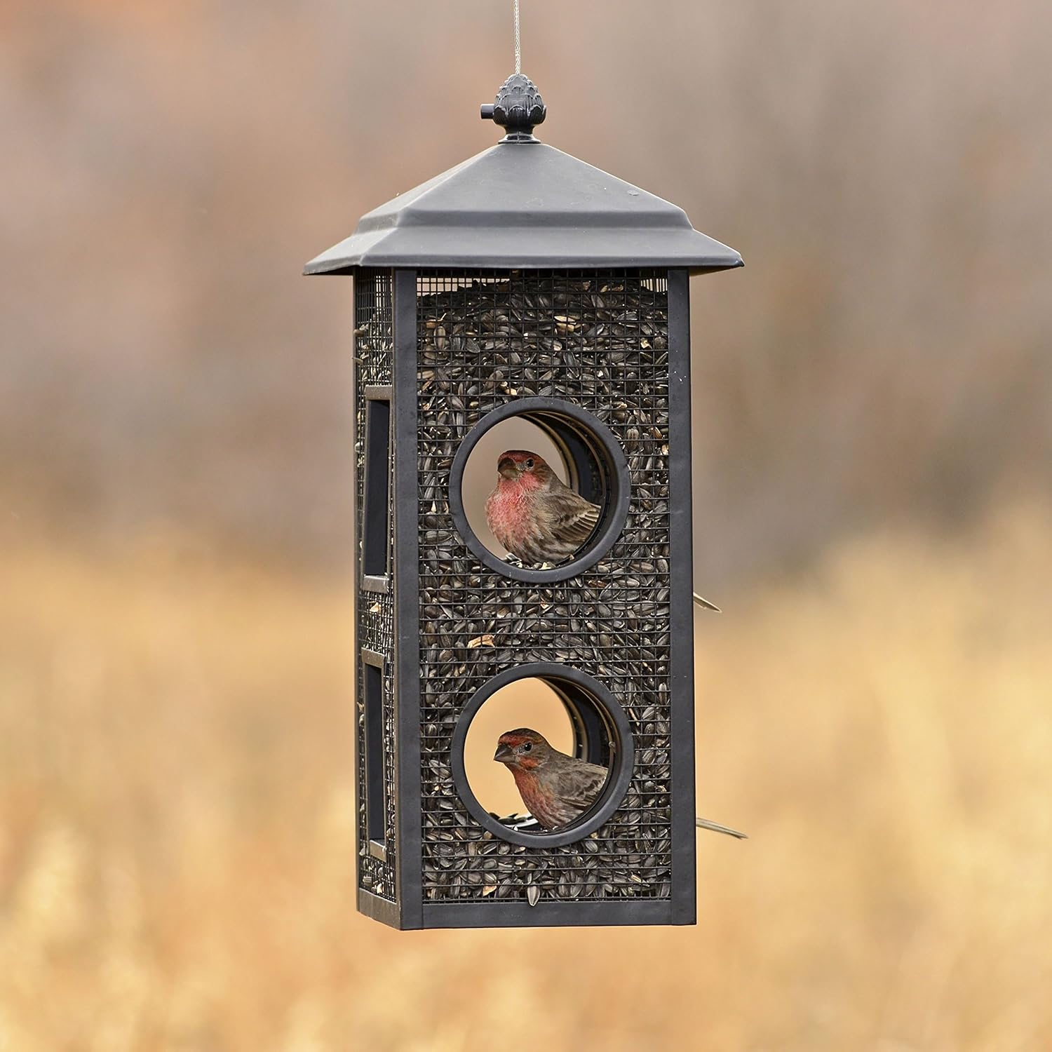 Perky-Pet Fly-Thru Wild Bird Feeder, 2 lb Seed Capacity | All-Metal Construction, Mesh Sides