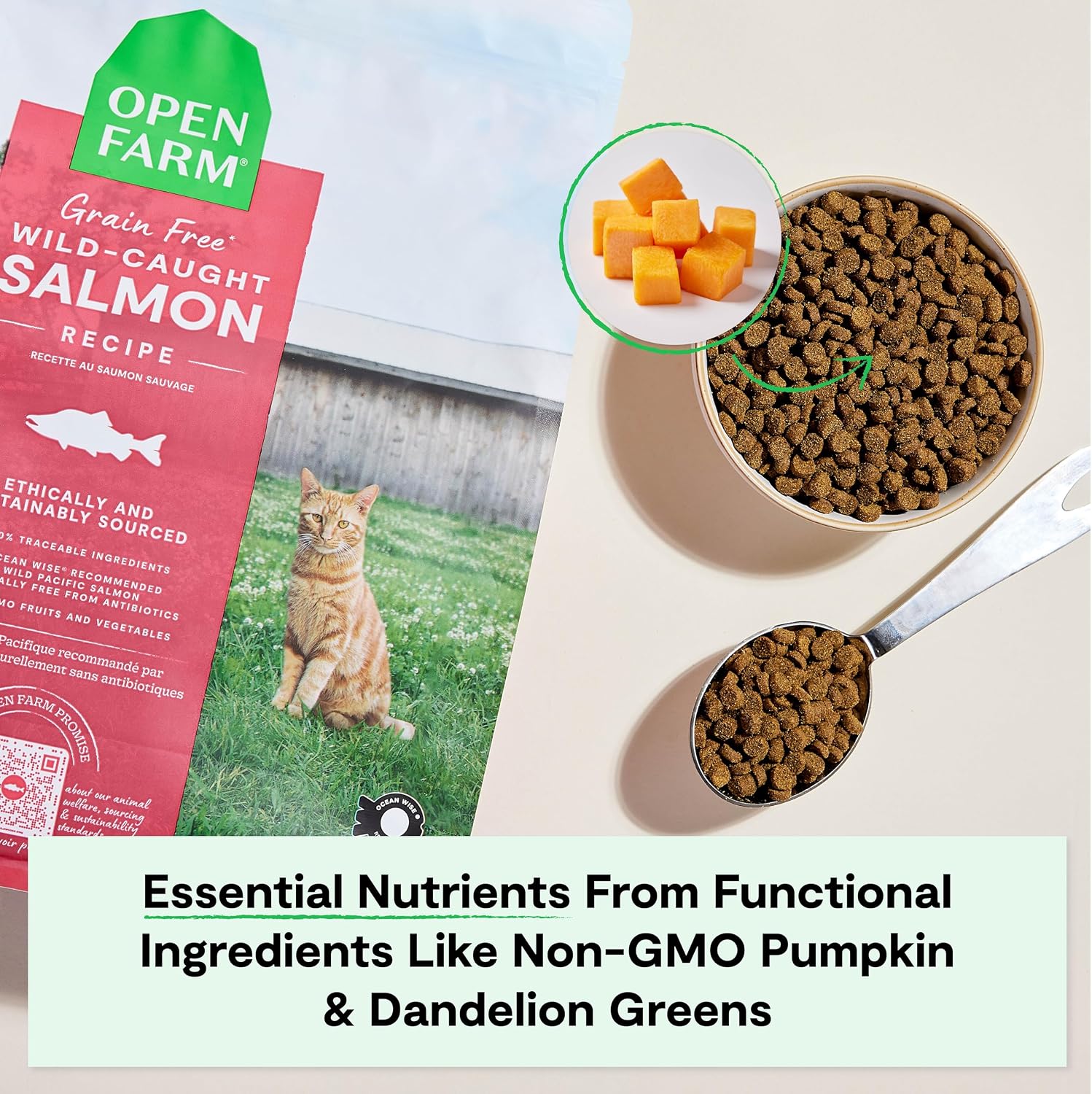 Open Farm, Grain Free Dry Cat Food, High-Protein Kibble for a Complete & Balanced Diet, Non-GMO Fruits & Vegetables, Prebiotic Fibers to Support Digestion, Catch-of-The Season Whitefish, 4lb Bag | All Life Stages, High Protein, Prebiotic Fibers, 100% Tra…