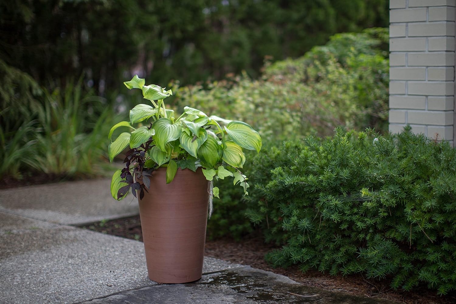 Algreen Valencia Round Planter Pot, 12.25 by 18-Inch, Textured Brown | Round Shape, Indoor Use, UV And Weather Resistant, Drainage Hole With Removable Plug, Lightweight 5.51 lb