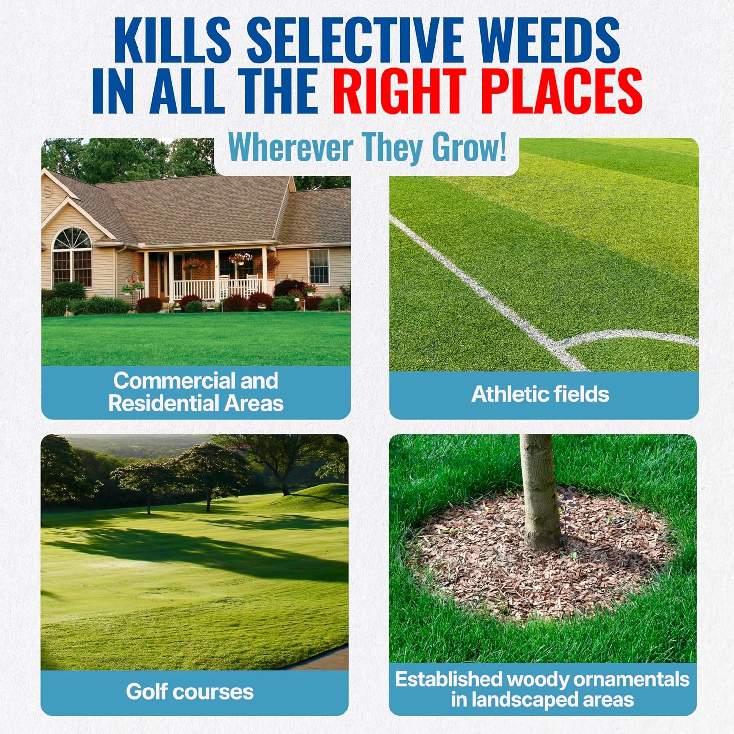 Sedgehammer 51516 Nutsedge Herbicide | Kills Yellow and Purple Nutsedge, Green Kyllinga, Selective Weed Killer for Lawns, Gardens and Landscapes