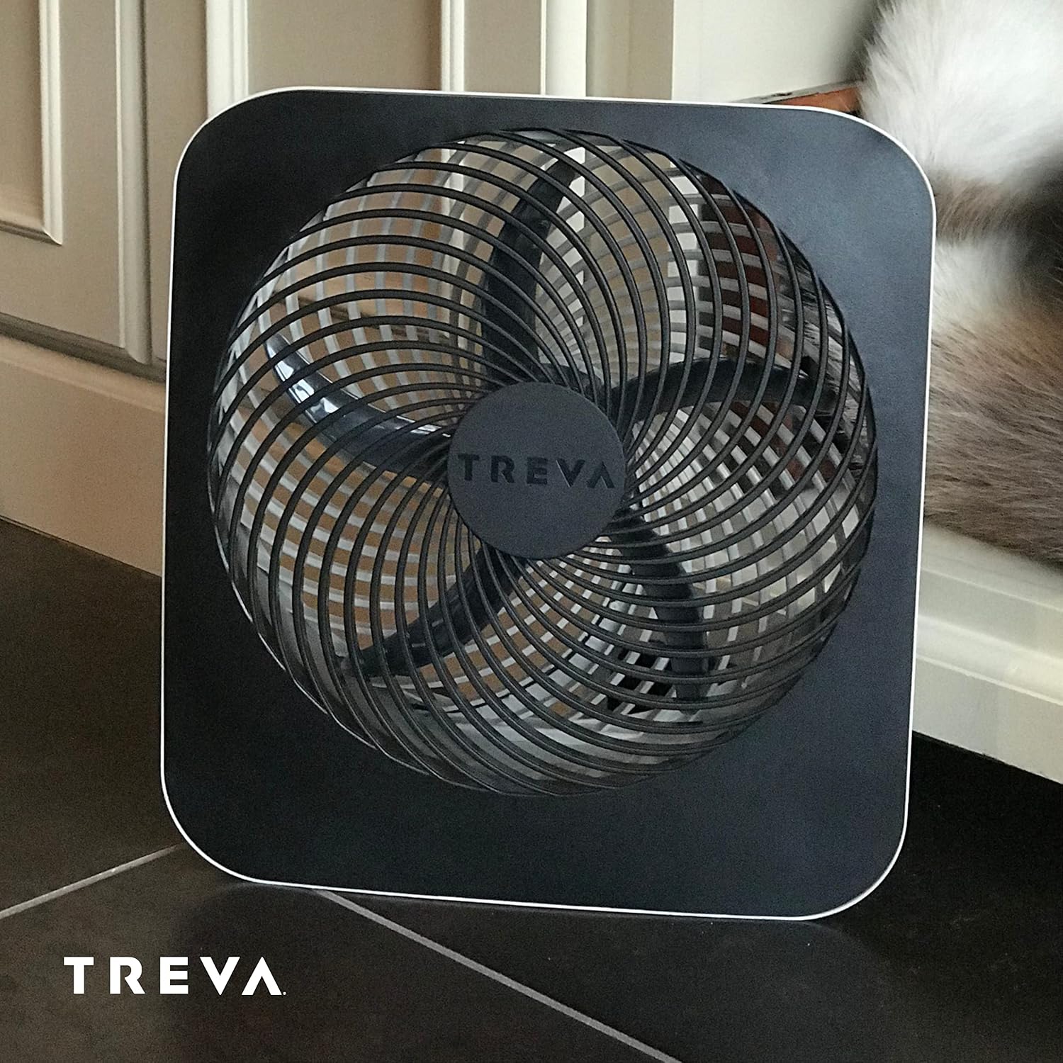 Treva 10 in Portable Desk Fan Battery or AC 2-Speed with USB Port