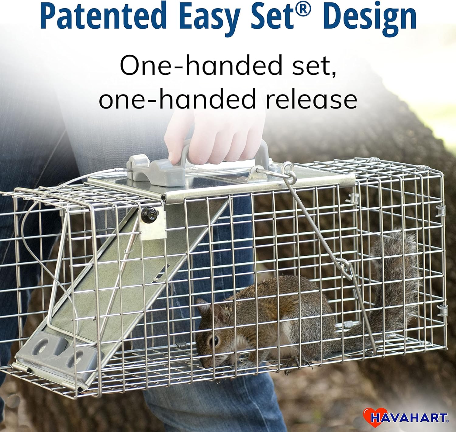 Havahart Easy-Set Catch and Release Small 1-Door Humane Live Animal Trap for Squirrels, Rabbits, Skunks, and Other Small Animals - 1083