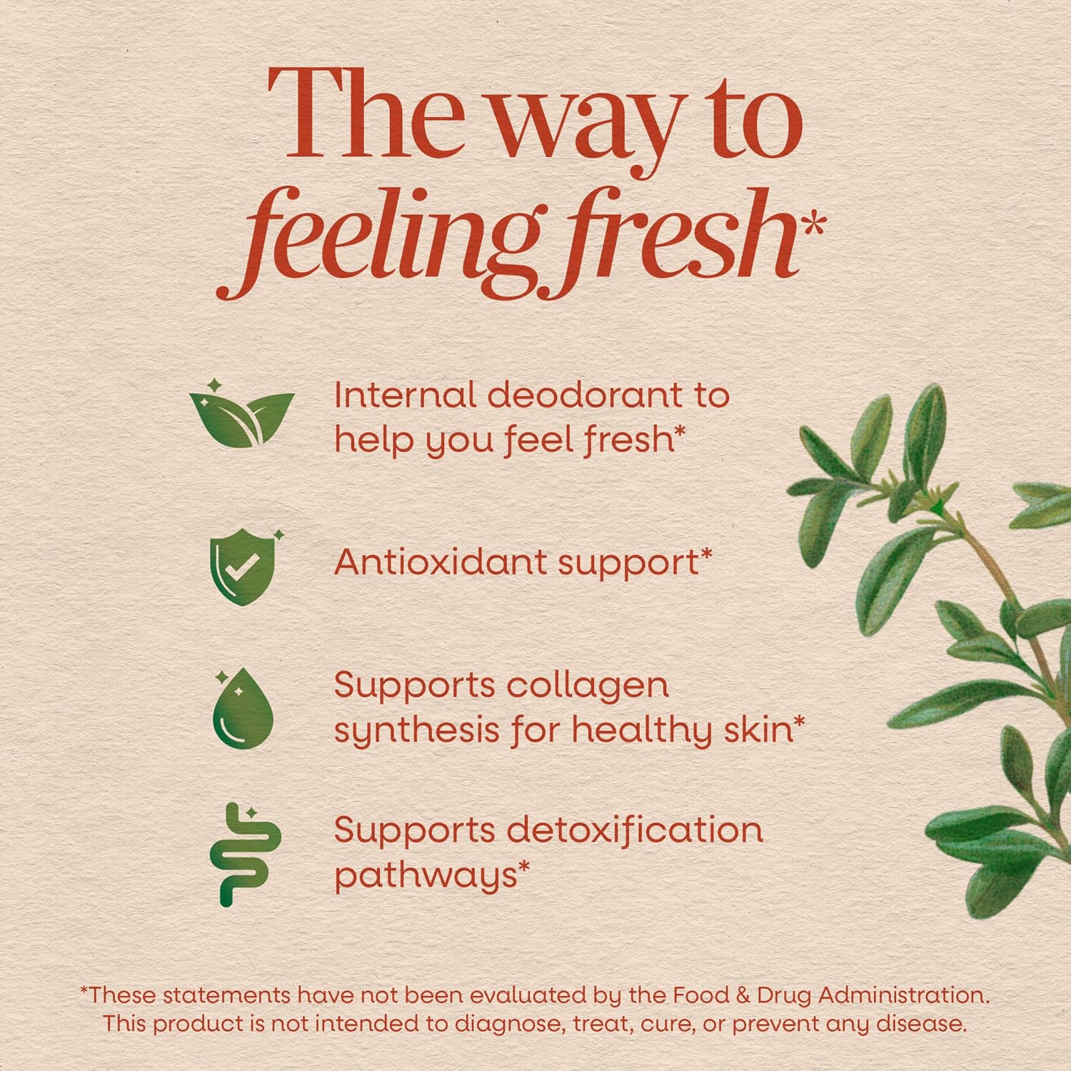 Nature's Way Chlorofresh Liquid Chlorophyll, Chlorophyllin Copper Complex, Internal Deodorant Supplement, Supports Healthy Skin and Detox Pathways*