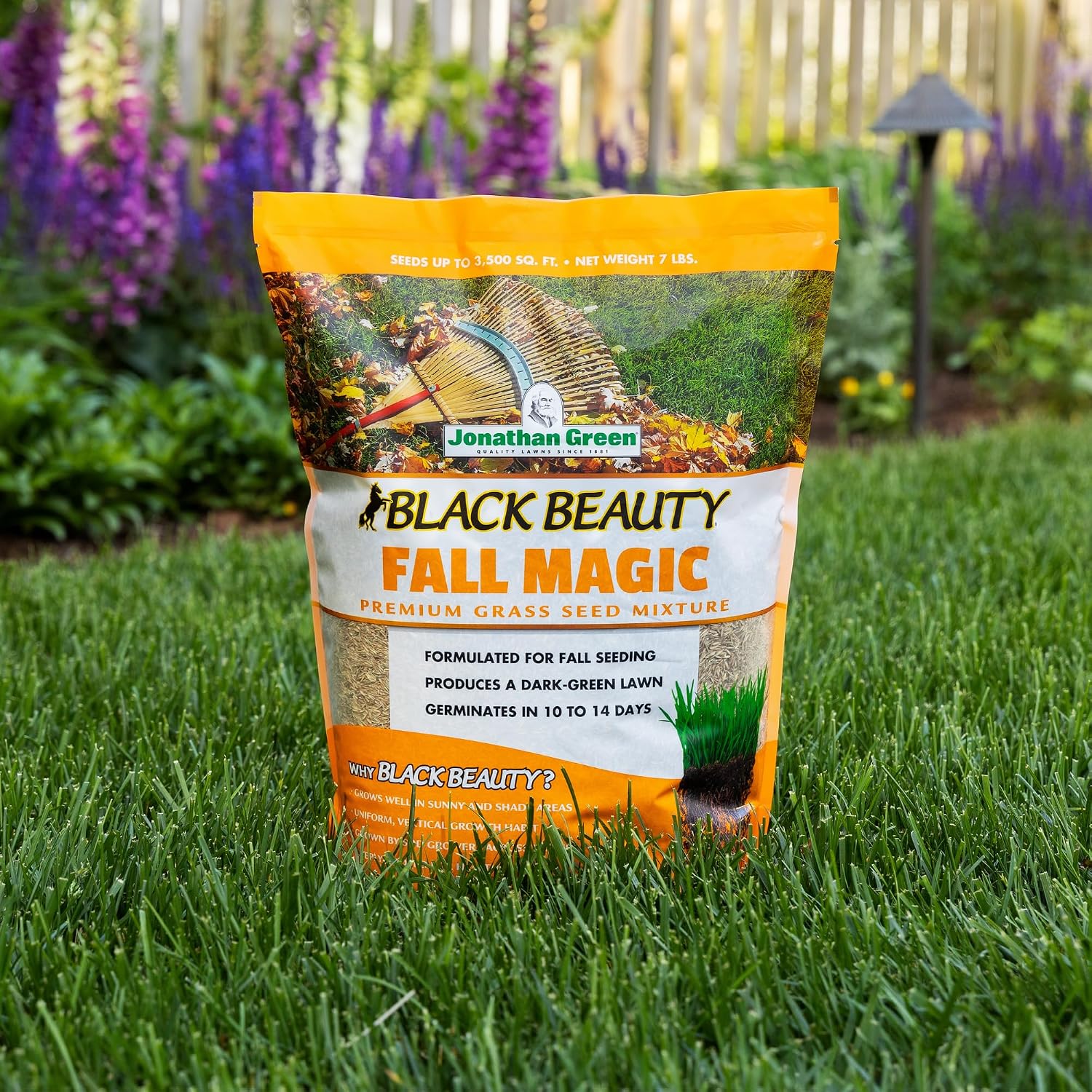 Jonathan Green (10765) Black Beauty Fall Magic Grass Seed - Cool Season Lawn Seed (3 lb)
