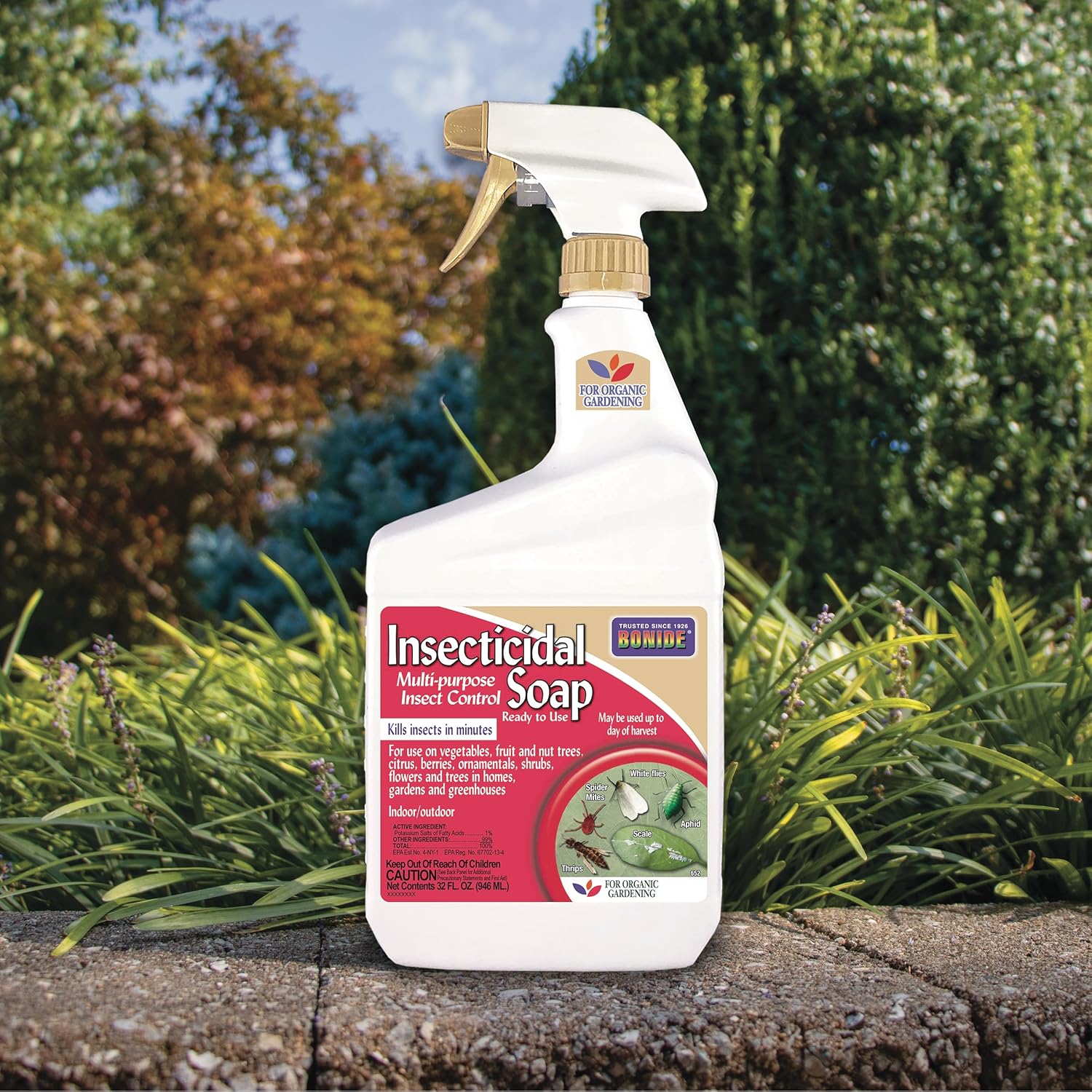 Bonide Insecticidal Soap