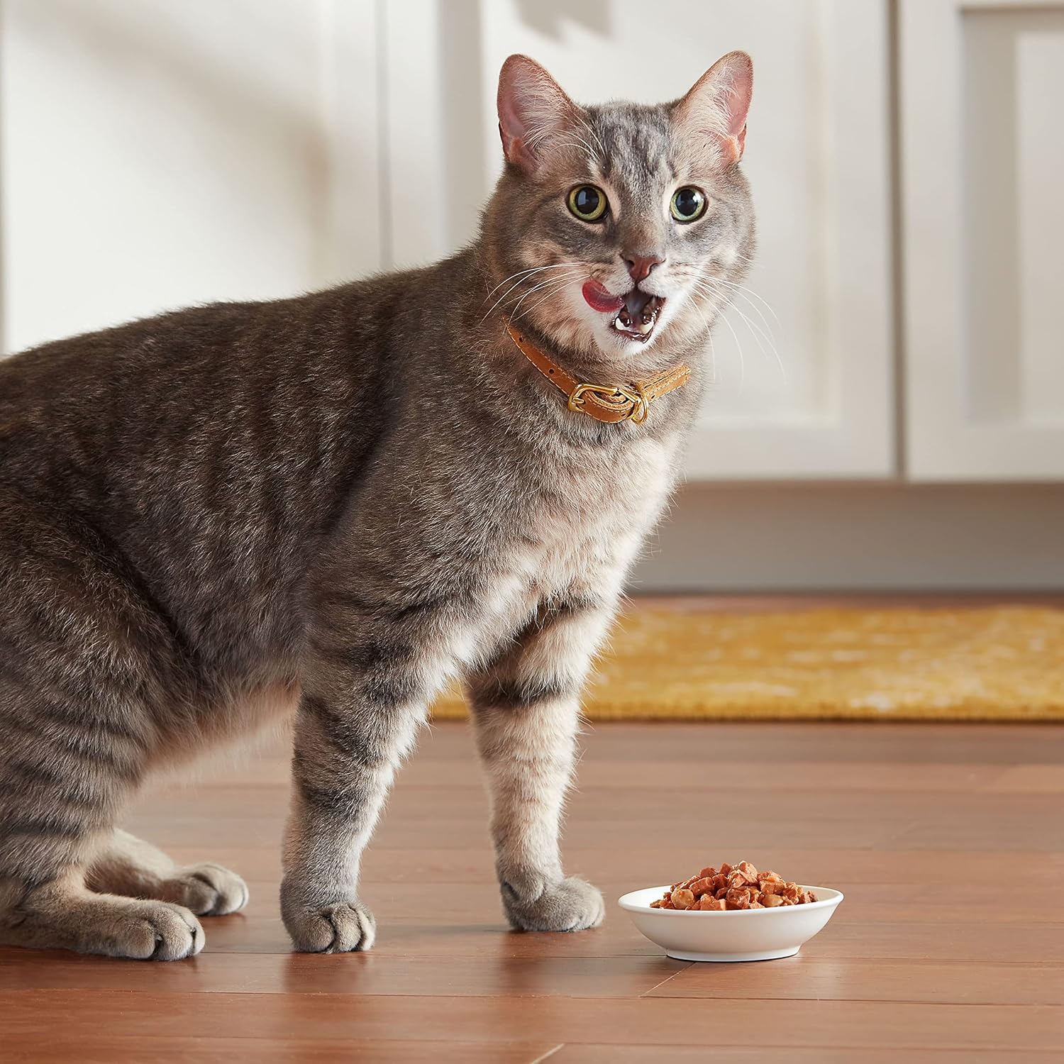 Meow Mix Tenders in Sauce, Wet Cat Food with Tuna & Whole Shrimp, 12 Cups
