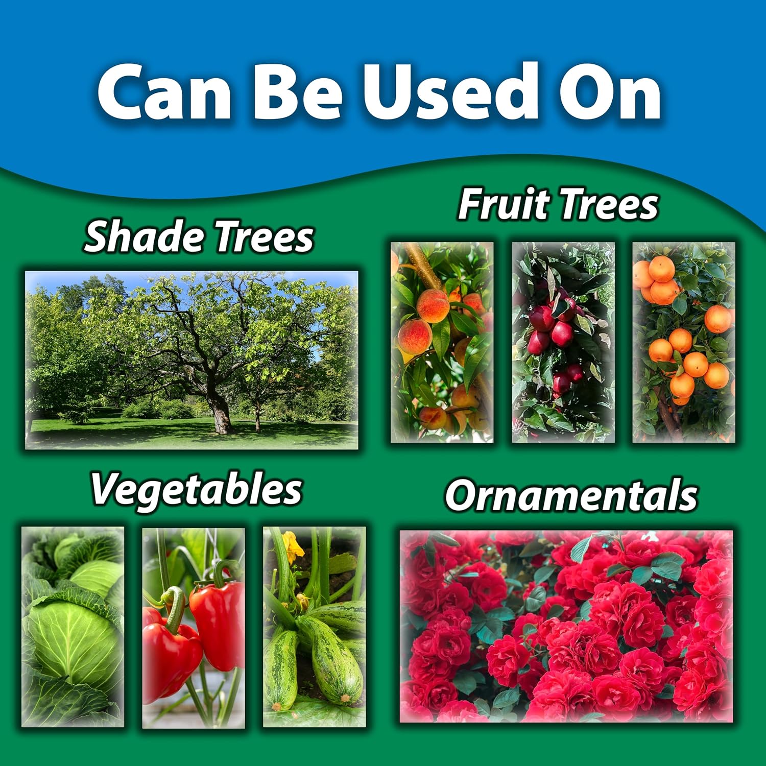 Monterey B.t. - Biological Insecticide for Organic Gardening - 1 Quart Concentrate - Apply Using a Sprayer Following Mix Instructions
