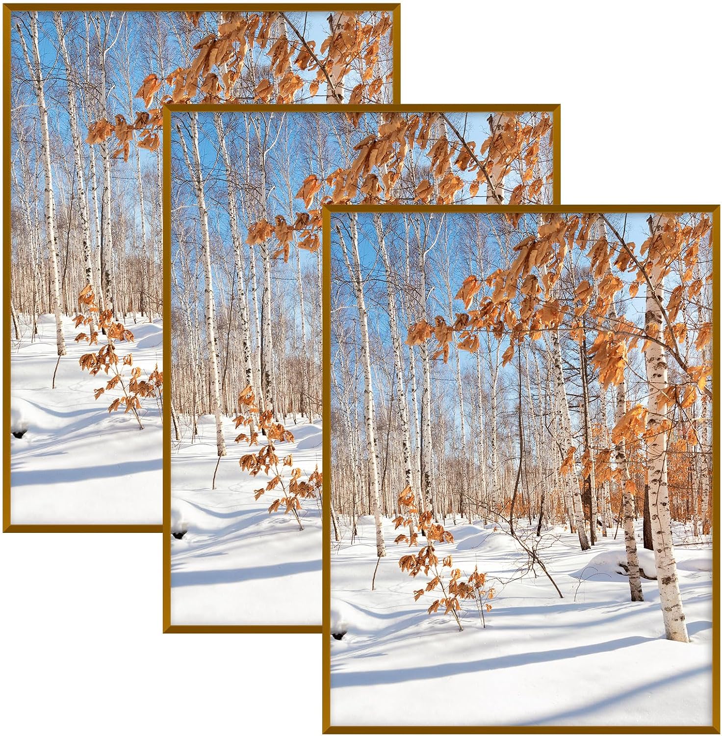 Golden State Art 3 Pack 12x12 Black Aluminum Frames, Real Glass Fronts