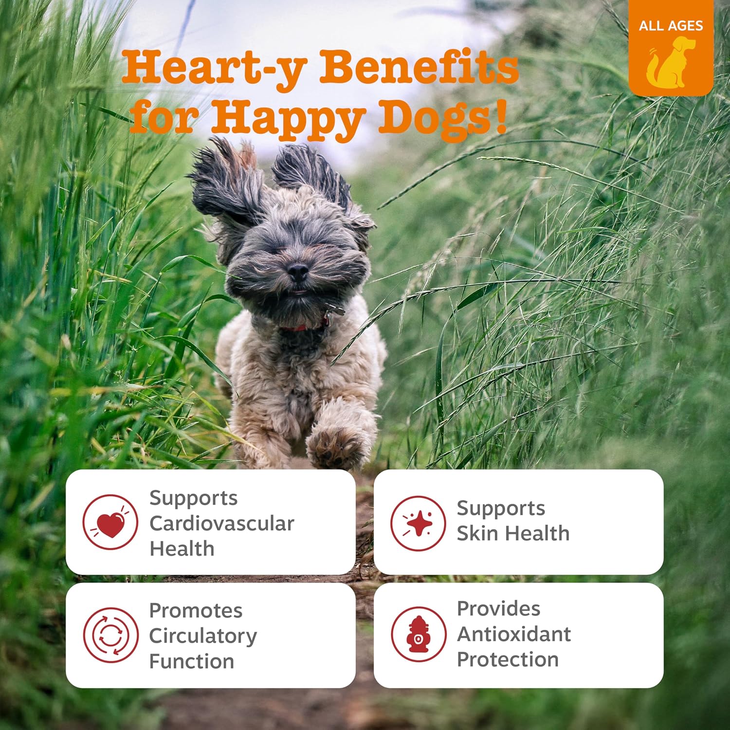 Zesty Paws Dog Heart Supplement - Taurine for Dogs, Salmon, 90 Ct