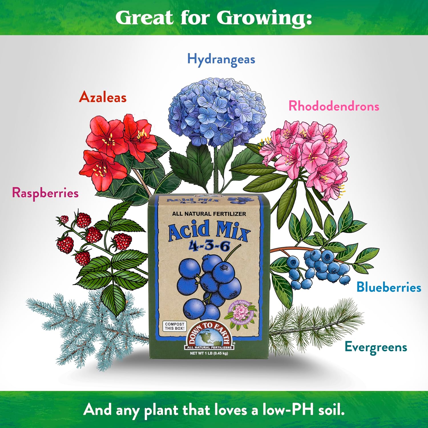 Down To Earth All Natural Fertilizers Organic Acid Mix - 4-3-6, 1 lb | Plant Food for Blueberries, Raspberries, Azaleas, Camellias, Rhododendrons, Hydrangeas, Evergreens and Acid-Loving Plants