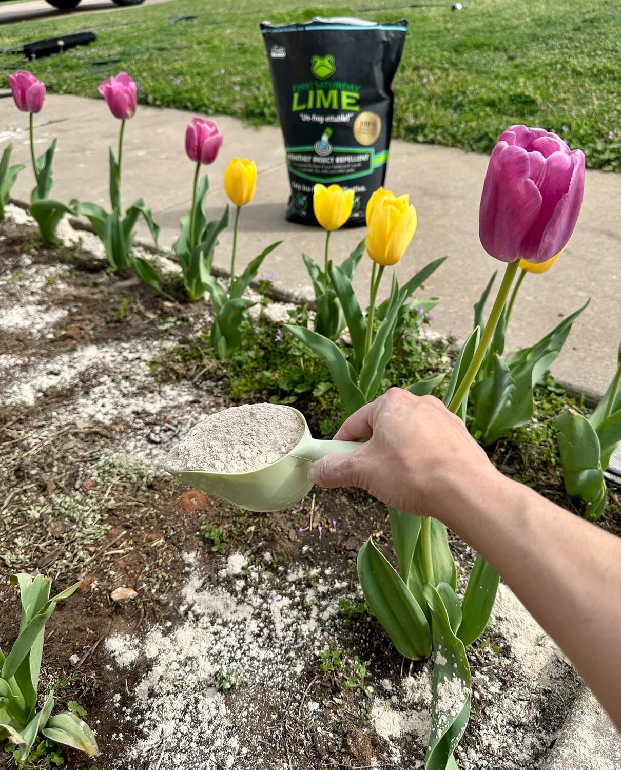 First Saturday Lime Insect Deterrent 20LB | Natural Repellent for Outdoors