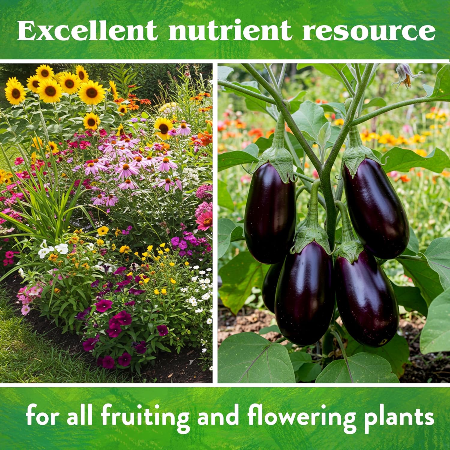 Down To Earth All Natural Fertilizers Organic Rock Phosphate - 0-3-0, 5 lb | Calcium Phosphate, Plant Food for Flower Beds, Vegetable Gardens