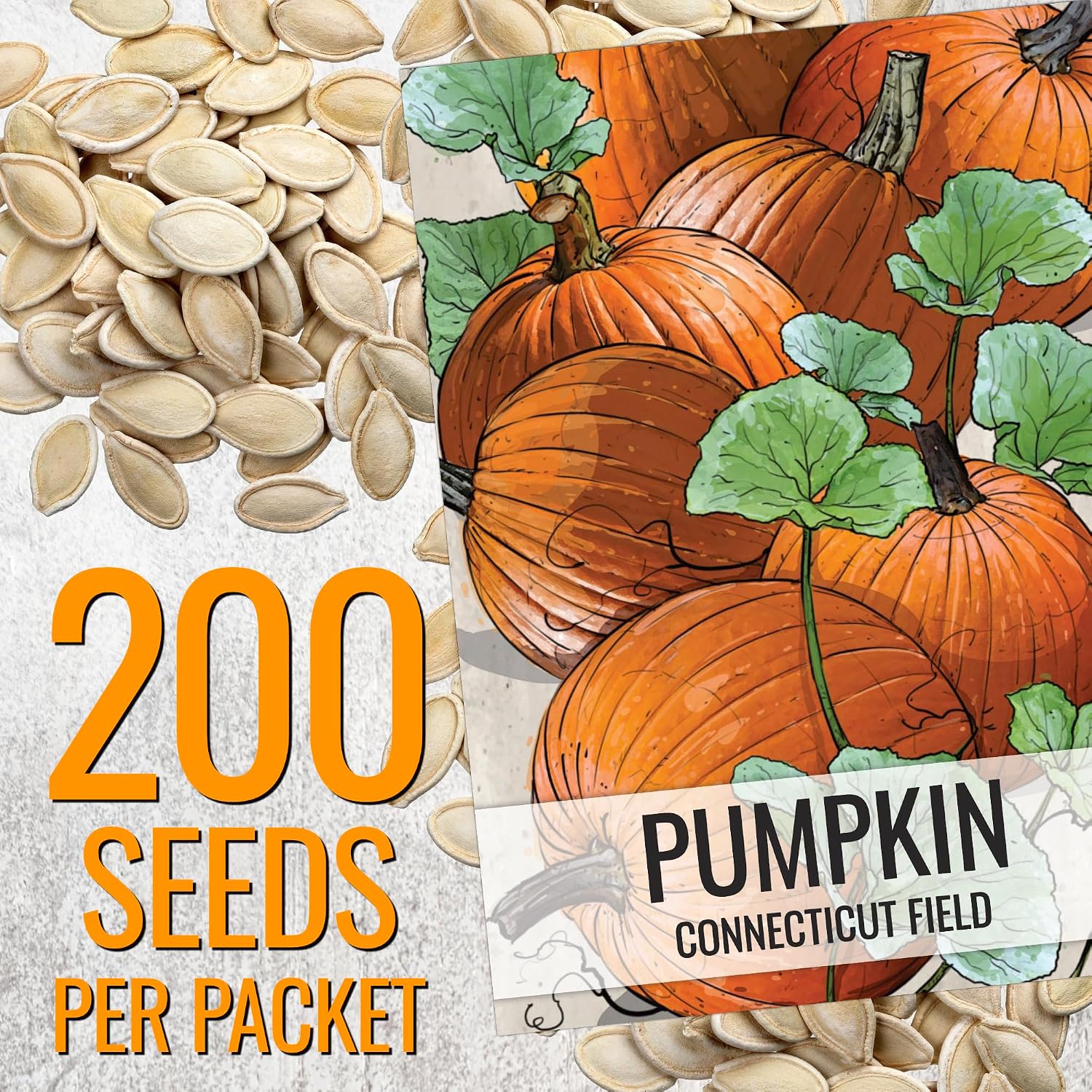 Seed Needs Pumpkin Seeds to Plant 100 Seeds Spooky Mix Non GMO Bulk Pack