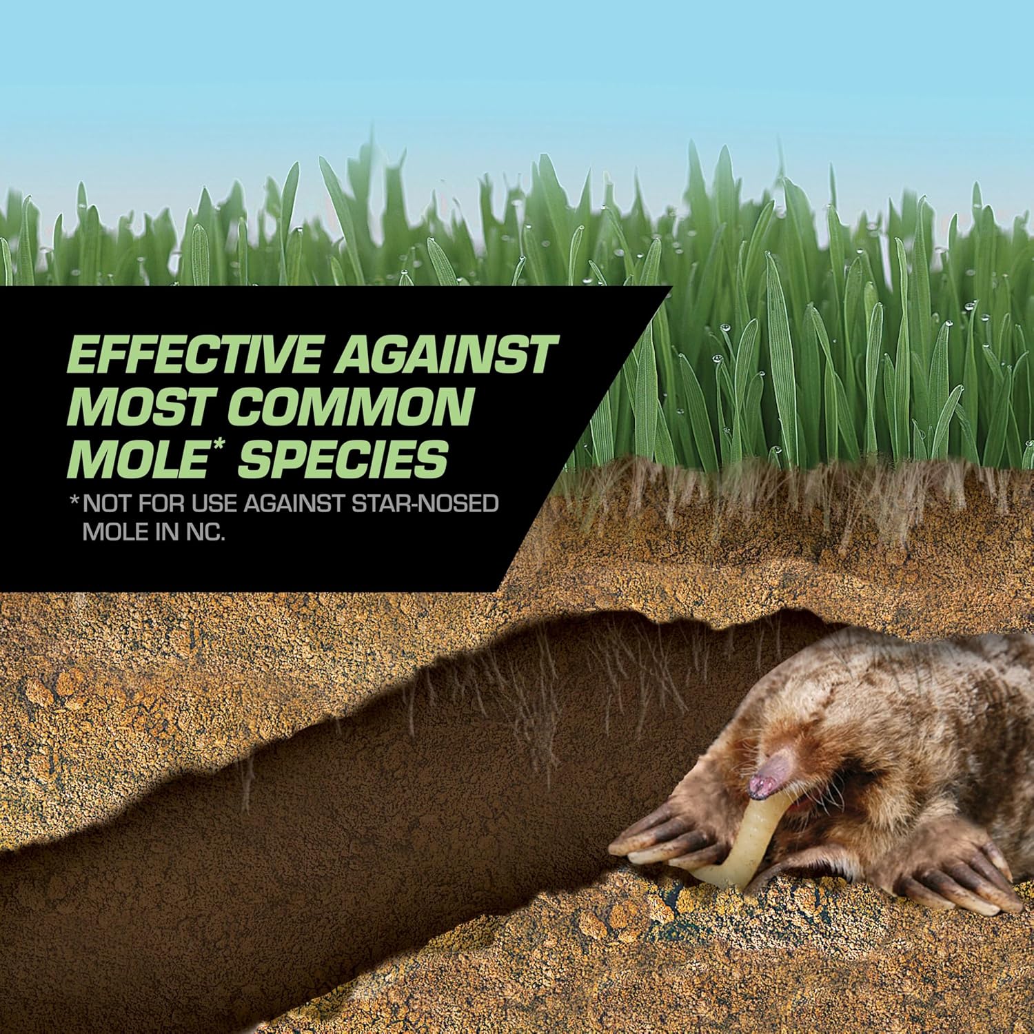 Tomcat Mole & Gopher Repellent Granules, 4 lbs. | Mole Repellent Granules Formulated with Castor Oil, For Lawns