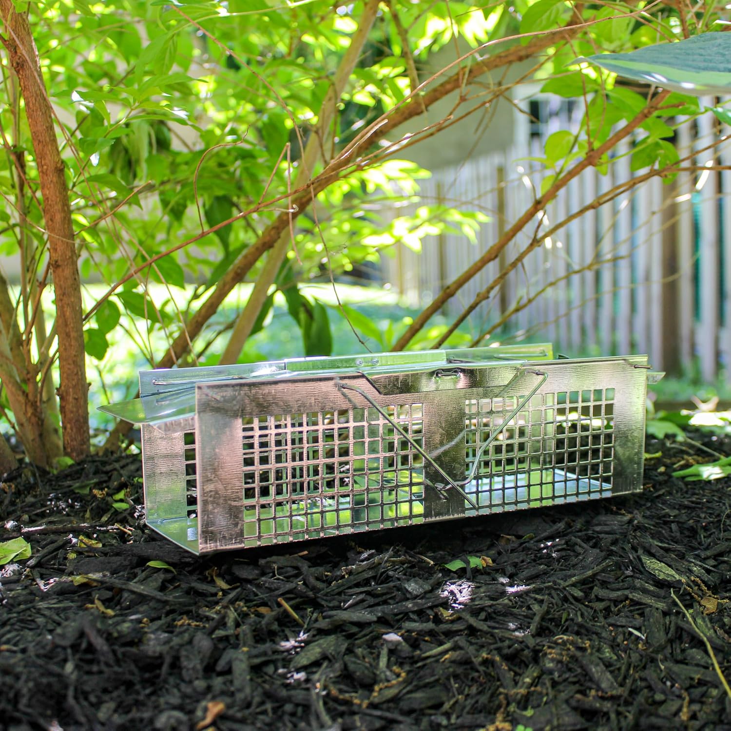 Havahart X-Small Animal Trap, 2-Door Humane Trap for Mice, Voles, Shrews | Humane Catch & Release Trap for Moles & Small Rodents