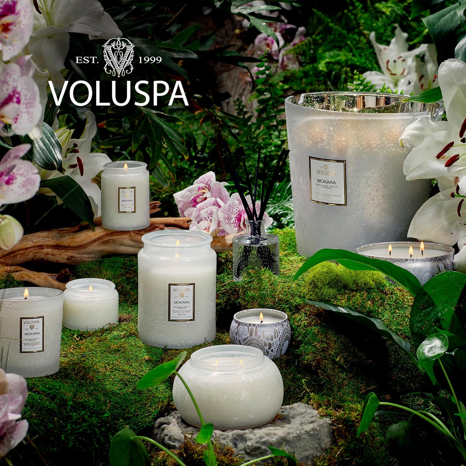 Voluspa Panjore Lychee, Glass Chawan Bowl Candle, 14 oz, 50 Hour Burn Time, Coconut Wax for Clean Burning, Handcrafted in the USA