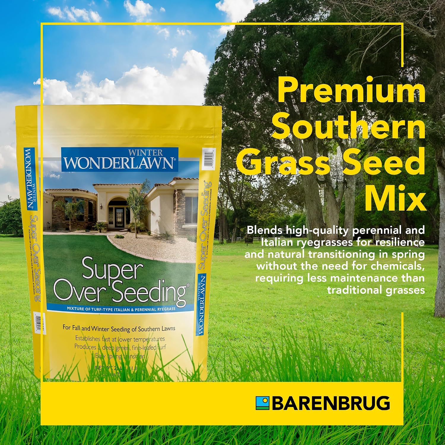 Barenbrug Wonderlawn Winter Grass Seed Mix for Lawn Care and Landscaping, 5 lbs. Bag