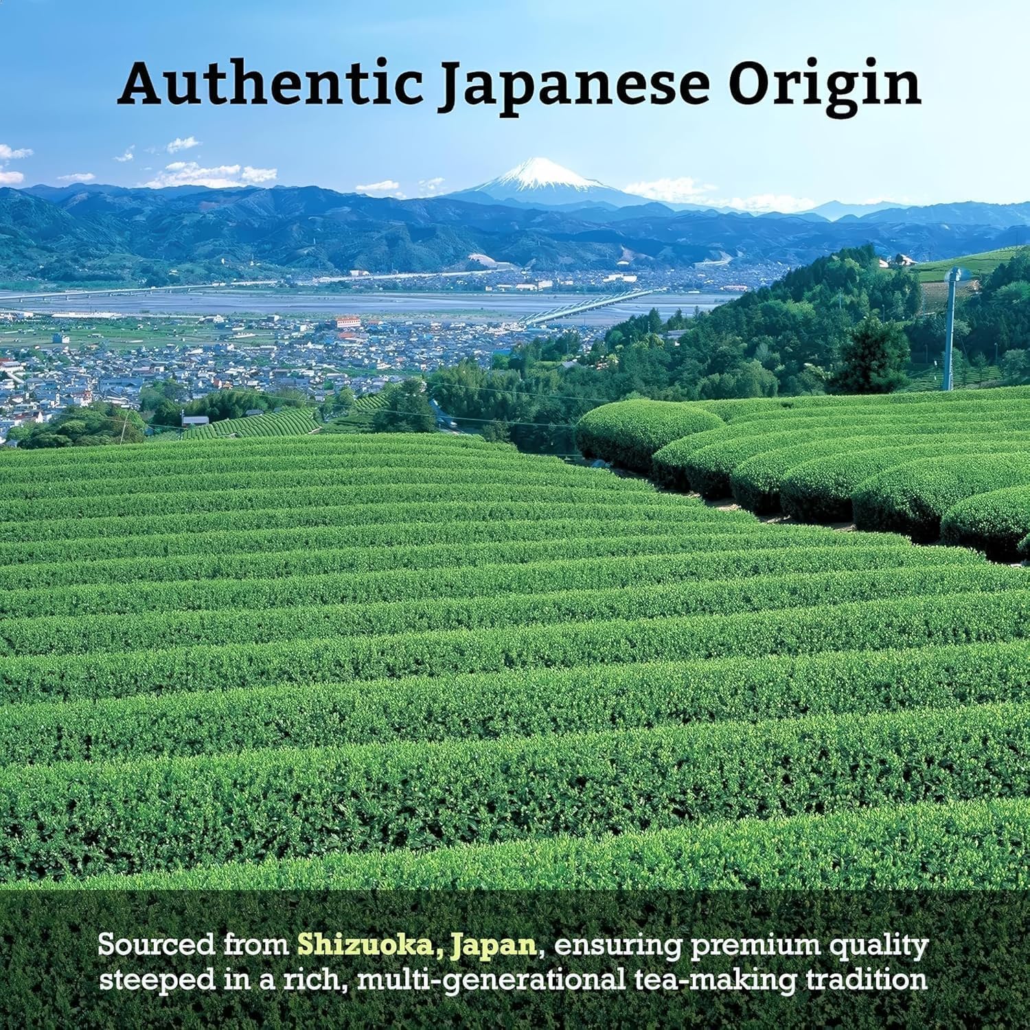 SUGIMOTO TEA Japanese Sencha Fukamushi Green Tea Loose Leaf Bulk 1.0 lb (454 g)