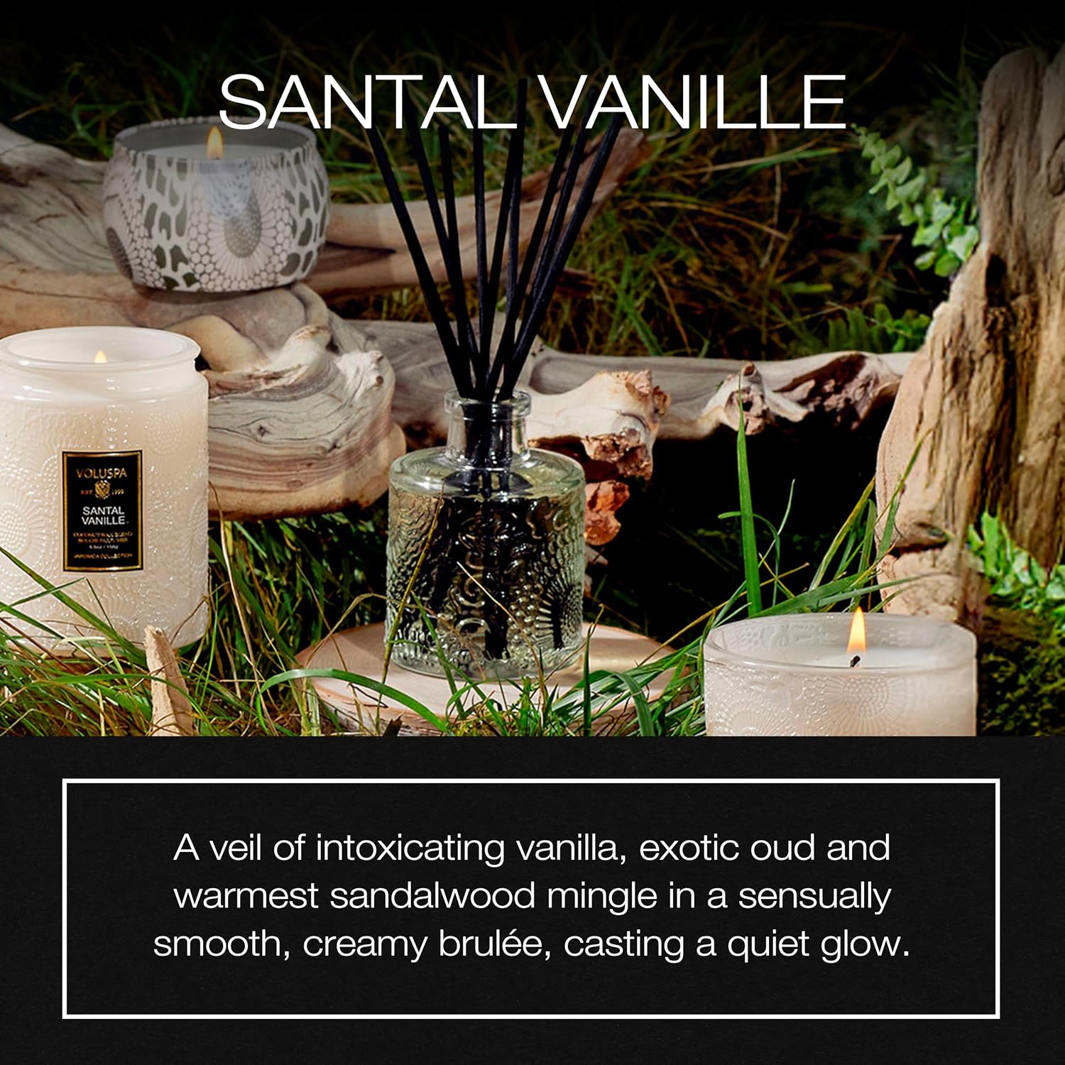 Voluspa Santal Vanille Scented Reed Diffuser, 3.4 oz, Luxury Santal Diffuser, Oil Reed Diffusers for Home, Handcrafted in the USA