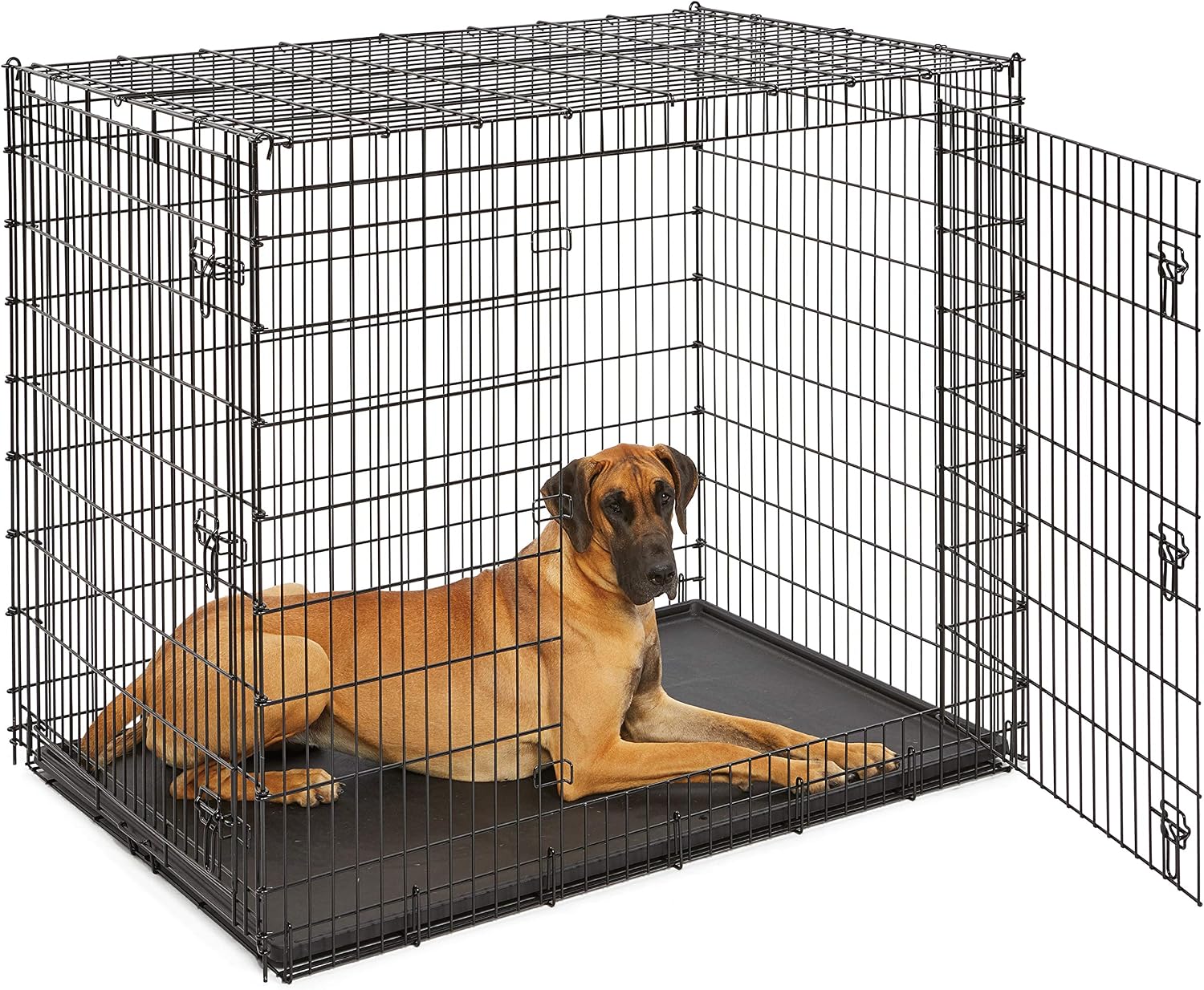 MidWest Homes for Pets 48-Inch iCrate for Extra-Large Breeds, 90-110 lbs, Single Door Folding Dog Crate with Divider Panel, Leak-Proof Tray & Secure Latches, Portable, Durable & Easy to Assemble