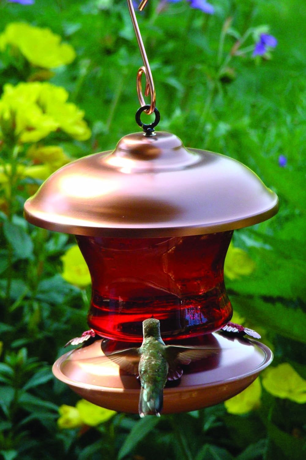 Woodlink Coppertop Hummingbird Feeder - Ruby Glass & Brushed Copper
