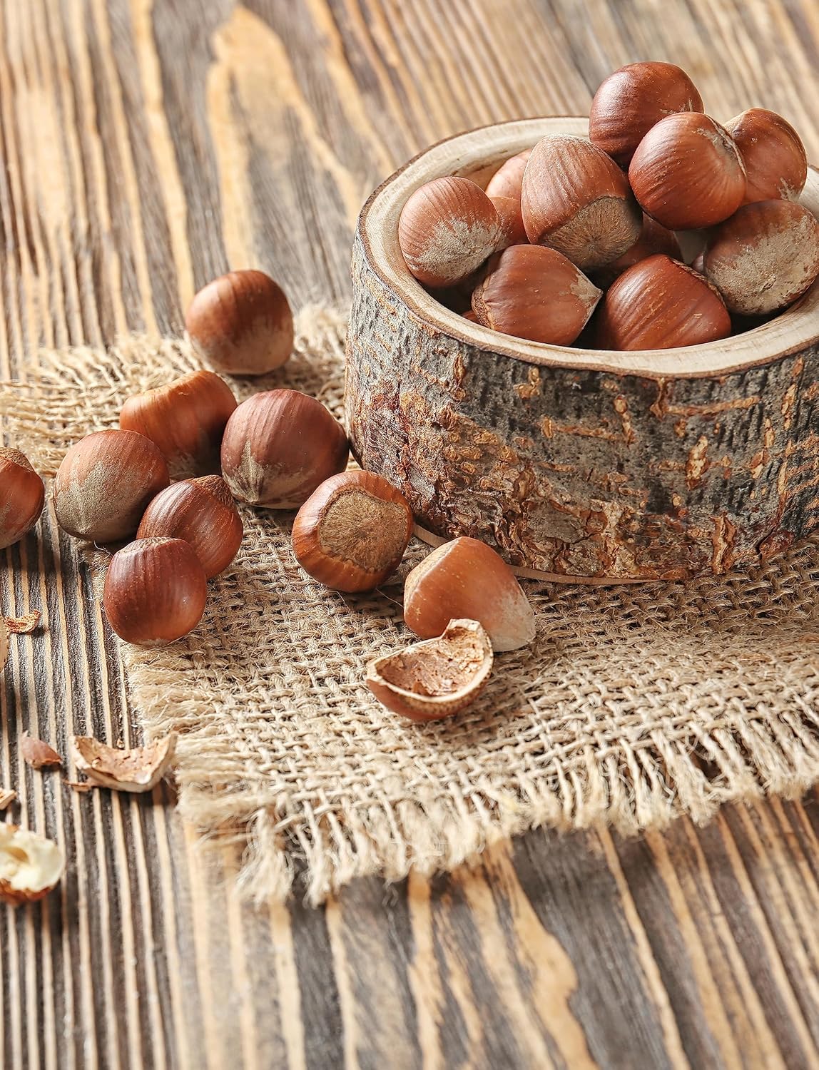 Anna and Sarah Large Oregon Hazelnuts in Shell in Box, 5 Lbs