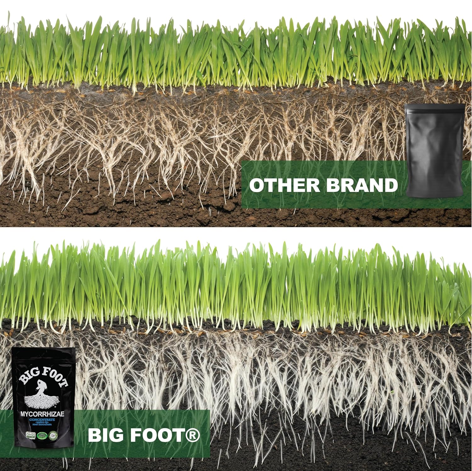 Big Foot Mycorrhizae for Plants, Potted Plants and Gardens - Concentrate Fully Dissolves in Water, Year Round Organic Fertilizer for Root Growth and Healthy Soil - 32 Ounces of Mycorrhizal Inoculant